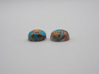 Oyster Copper Turquoise Cabs Round 10mm Approximately 9.0 Carat
