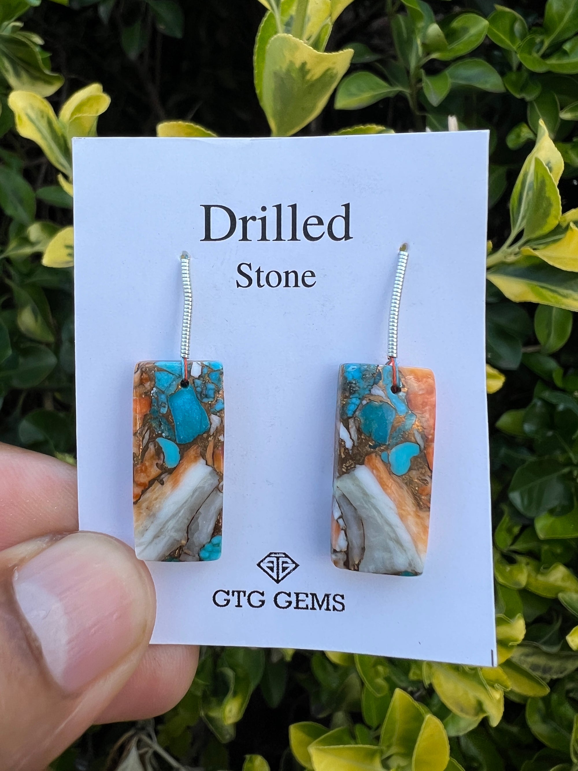 Drilled Oyster Turquoise, Matching pair 24x11 mm Approximately 29 Carat (GTG-DOT-18)