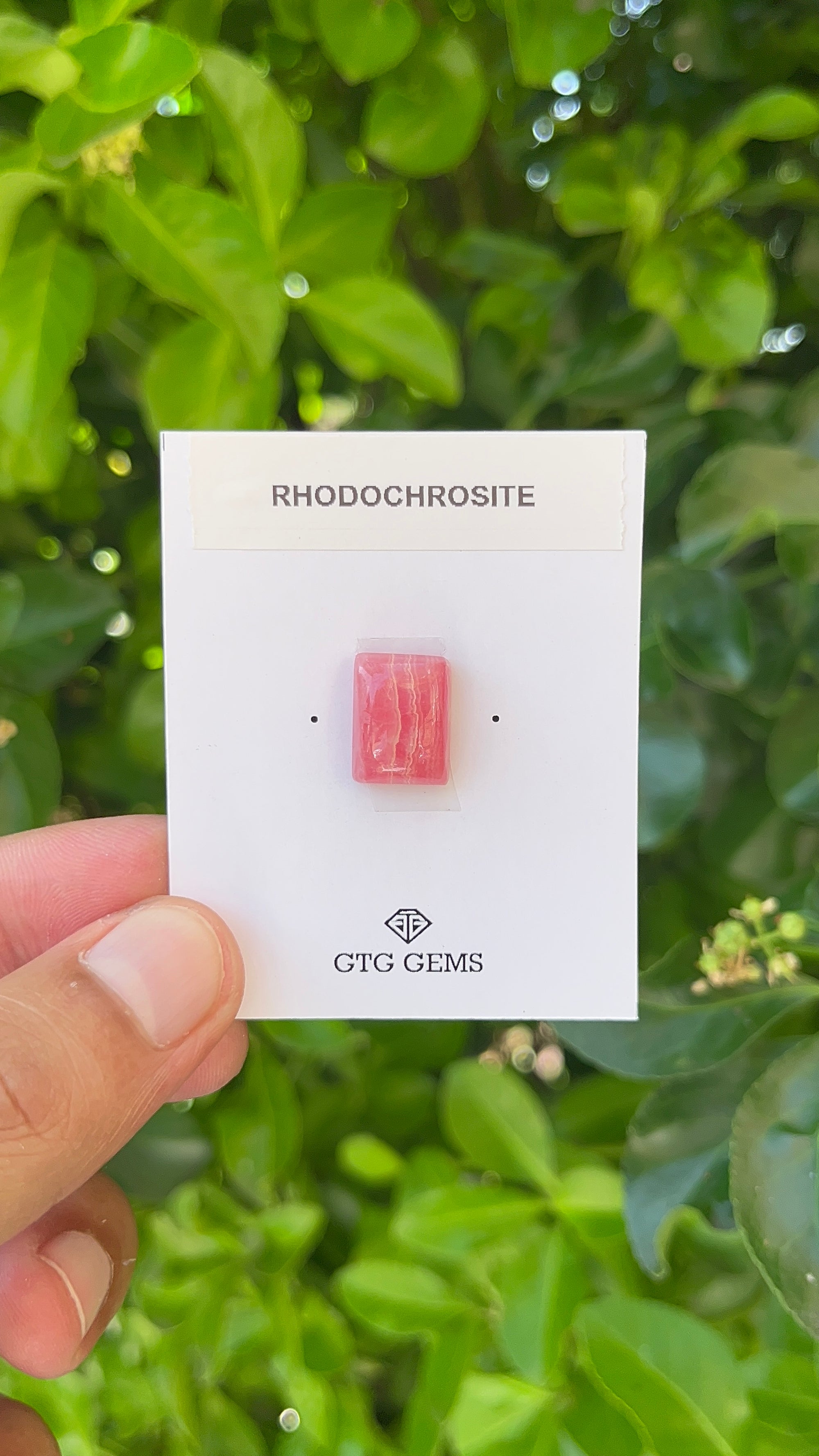 Rhodochrosite Cabochon, Rhodochrosite 14x10.5 mm, Approximately 11.68 carat (GTG-RCH-32)