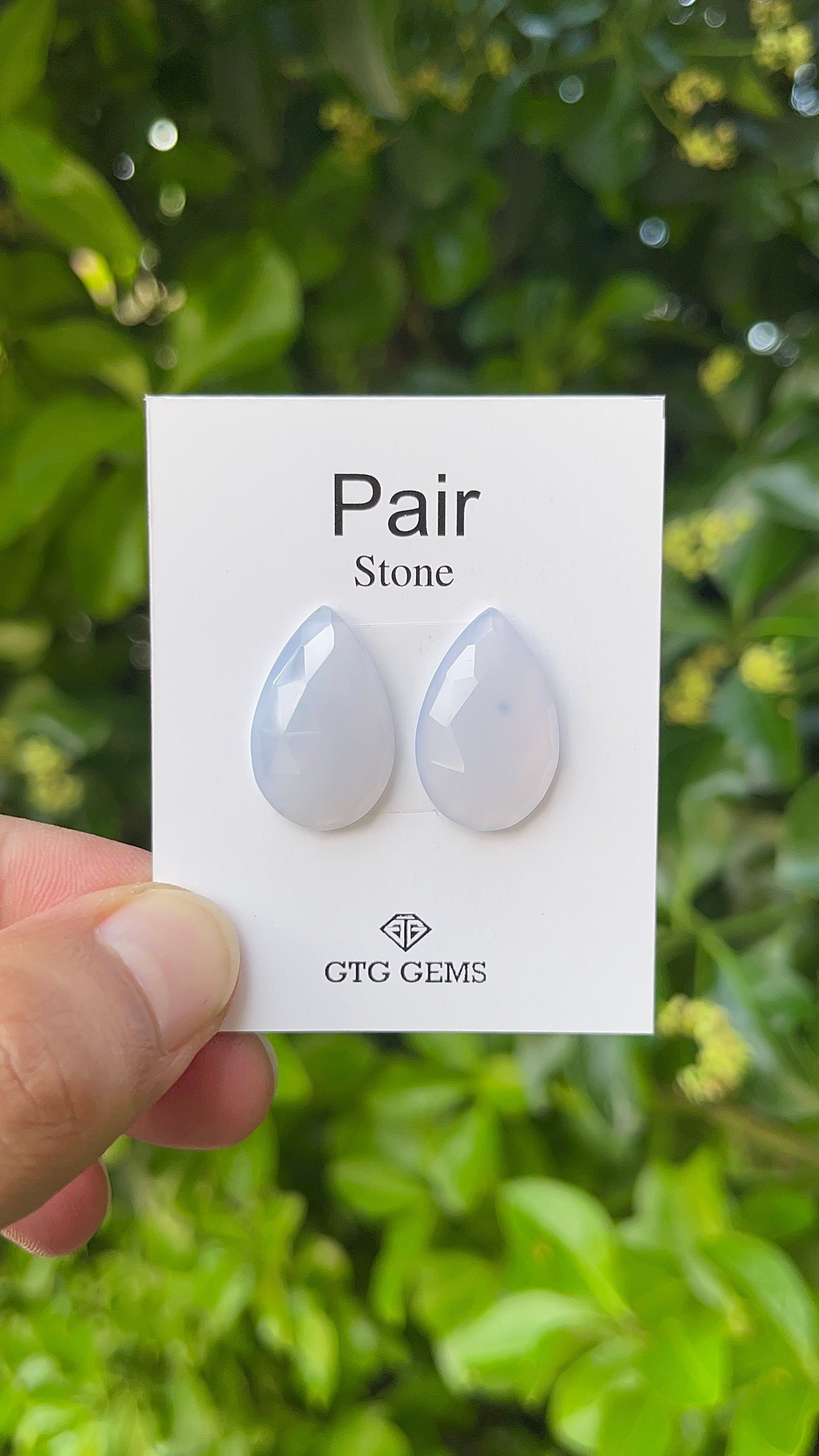 Rose cut Chalcedony,  Matching Pair  22x14 mm Approximately 18 Carat (GTG-RCT-1)