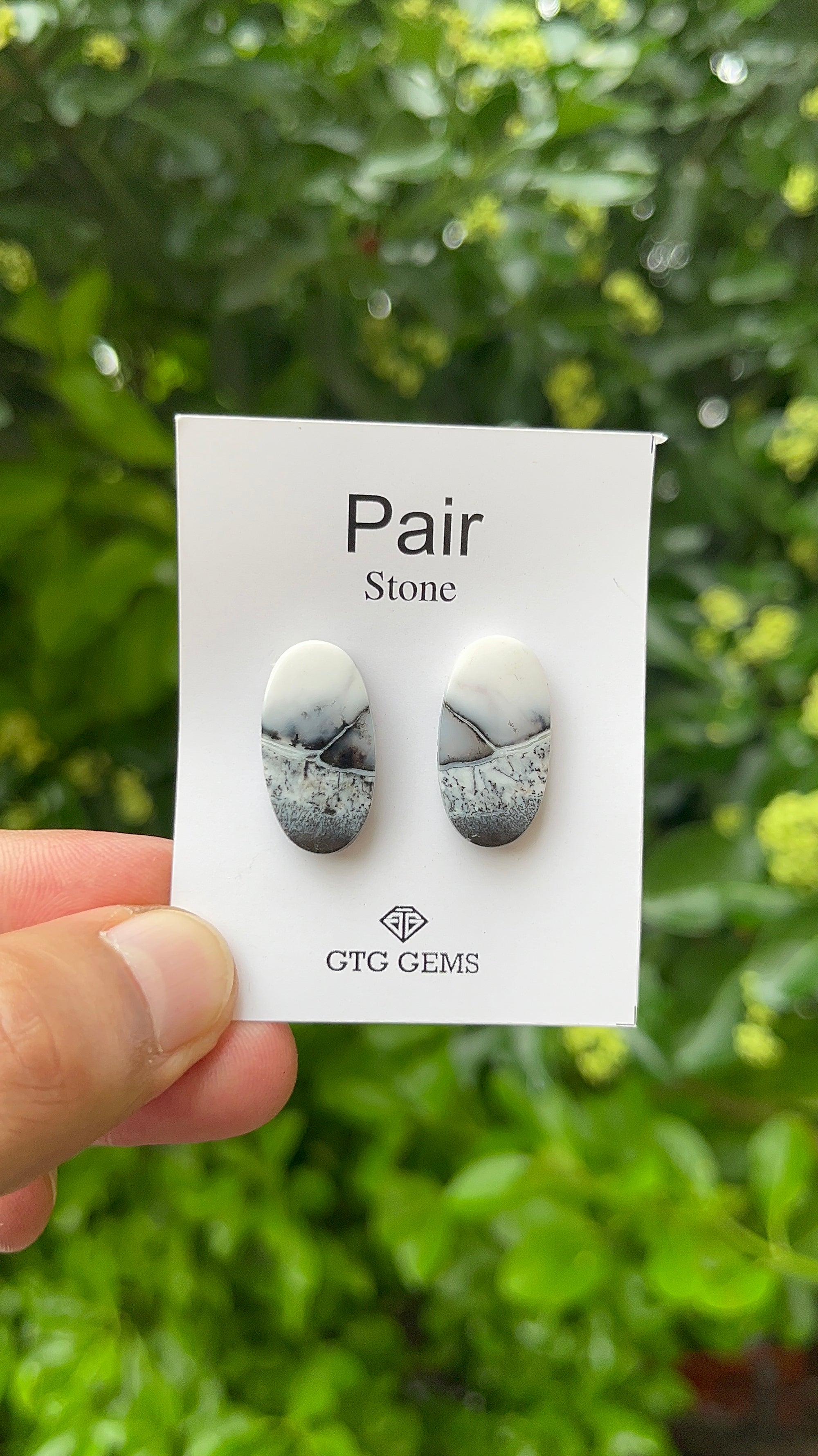 Dendritic Opal, Cabochon Matching Pair 23x12 mm, Approximately 19.50 carat (GTG-MDO-7)