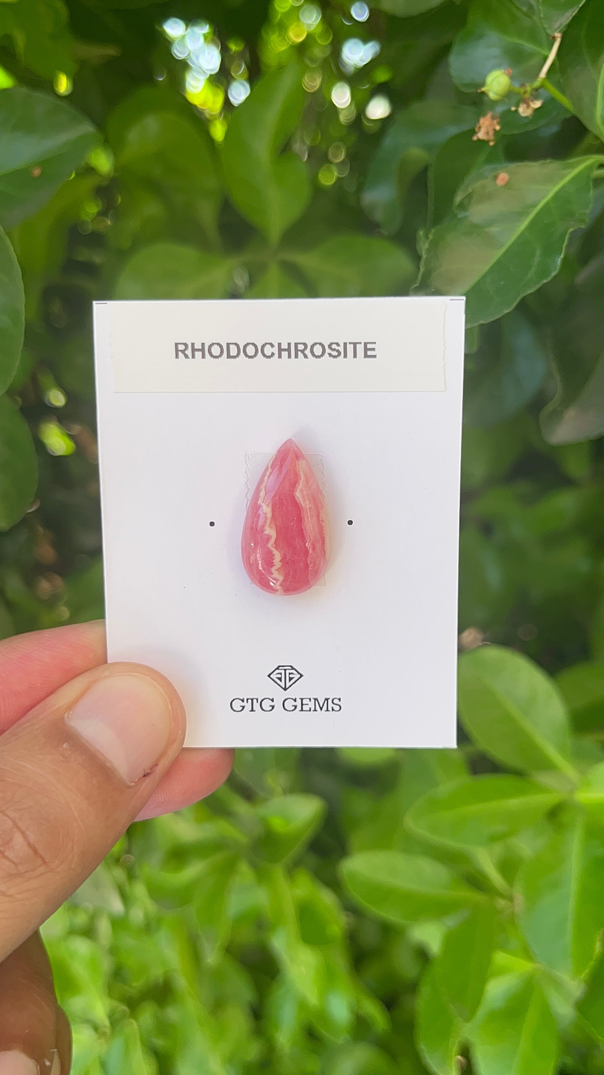 Rhodochrosite Cabochon, Rhodochrosite 22x13 mm, Approximately 17.02 carat (GTG-RCH-47)