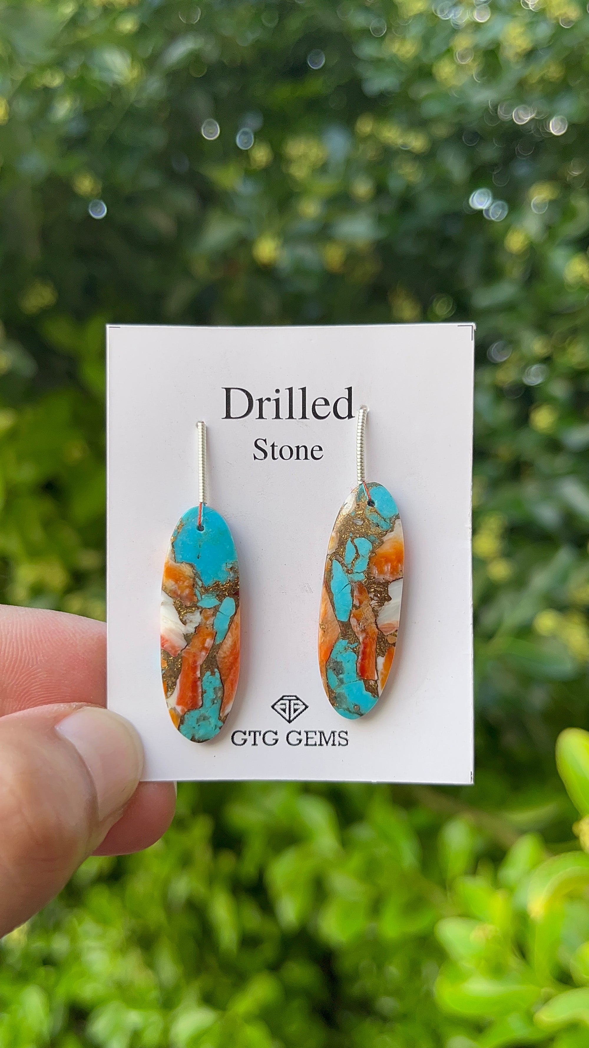 Drilled Oyster Turquoise, Matching pair 33x11 mm Approximately 25 Carat (GTG-DOT-30)