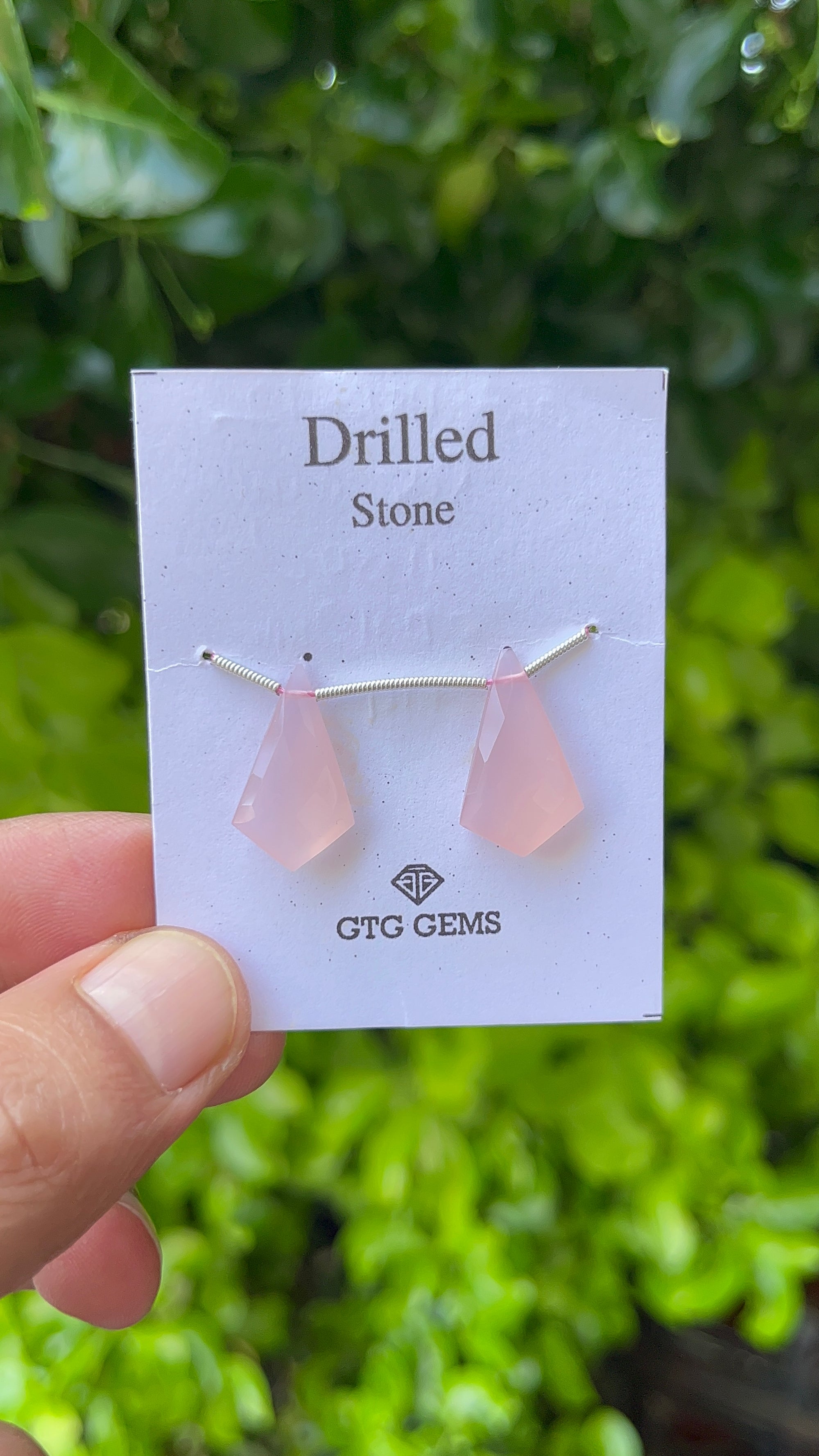 Drilled Rose Quartz Matching Pair 20x 12mm Approximately 11 Carat