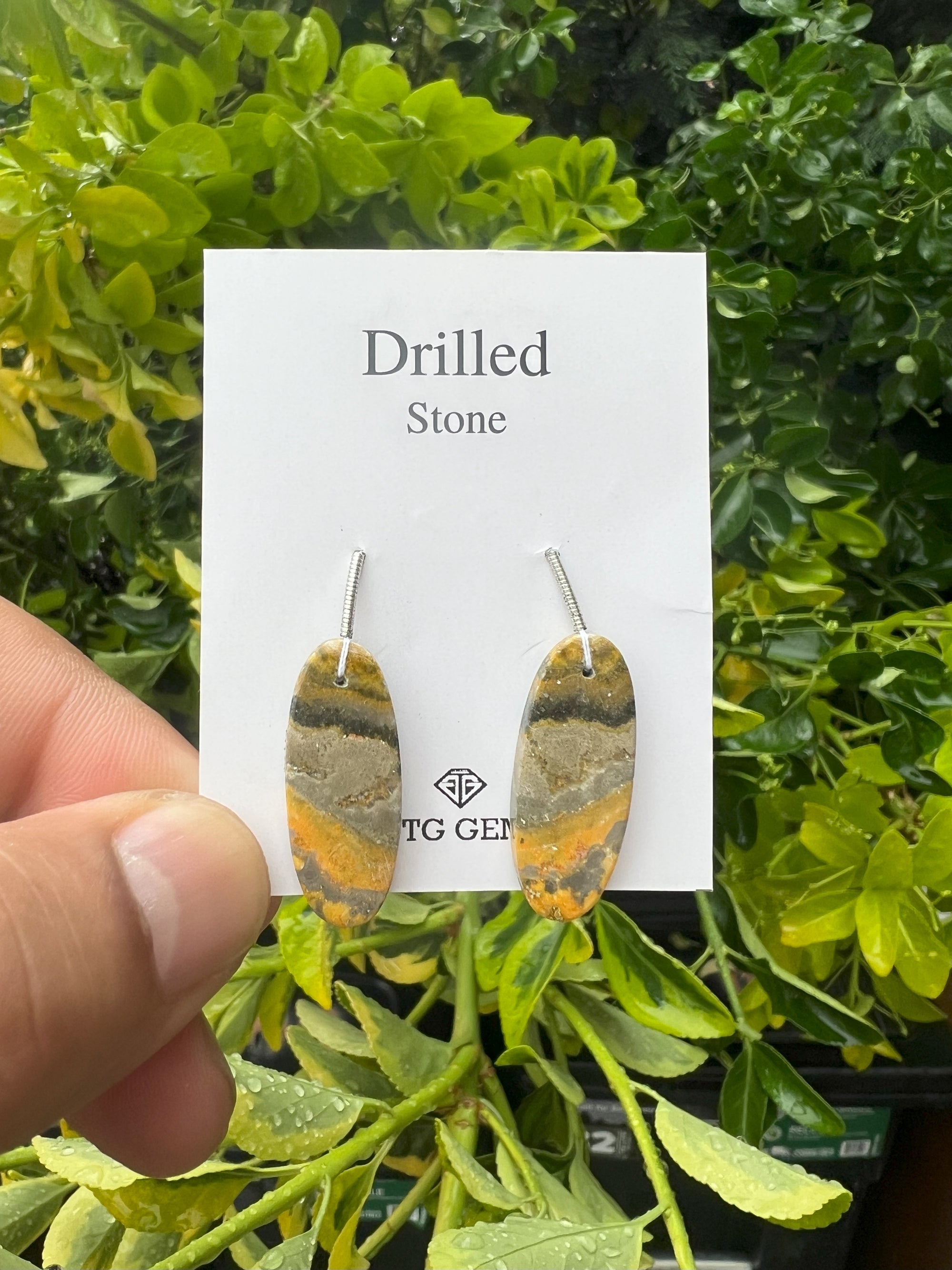 Drilled Bumble Bee  Jasper 28x11mm Approximately  22.50 Carat