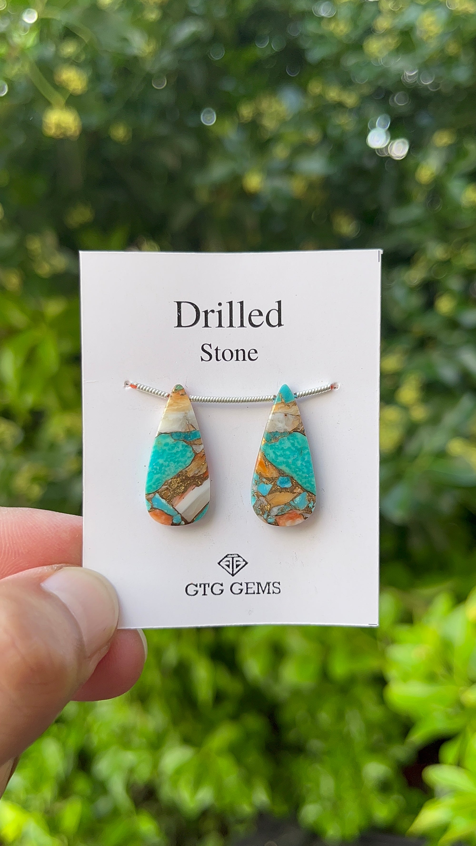 Drilled Oyster Turquoise, Matching pair 24x11 mm Approximately 16 Carat (GTG-DOT-31)