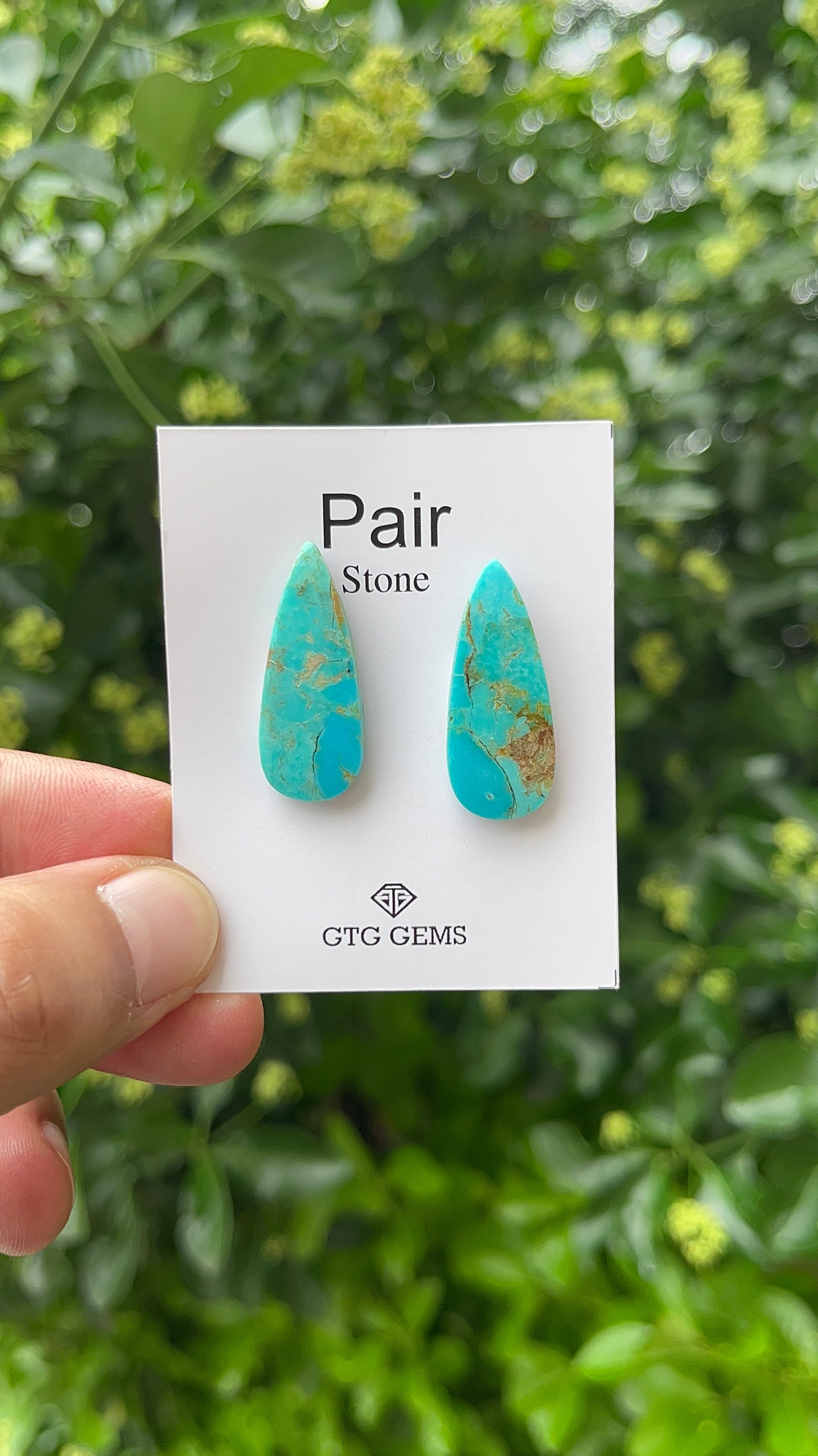 American Turquoise, Cabochon Matching Pair 29x12mm,  Approximately 19.50 Carat (GTG-MAT-4)