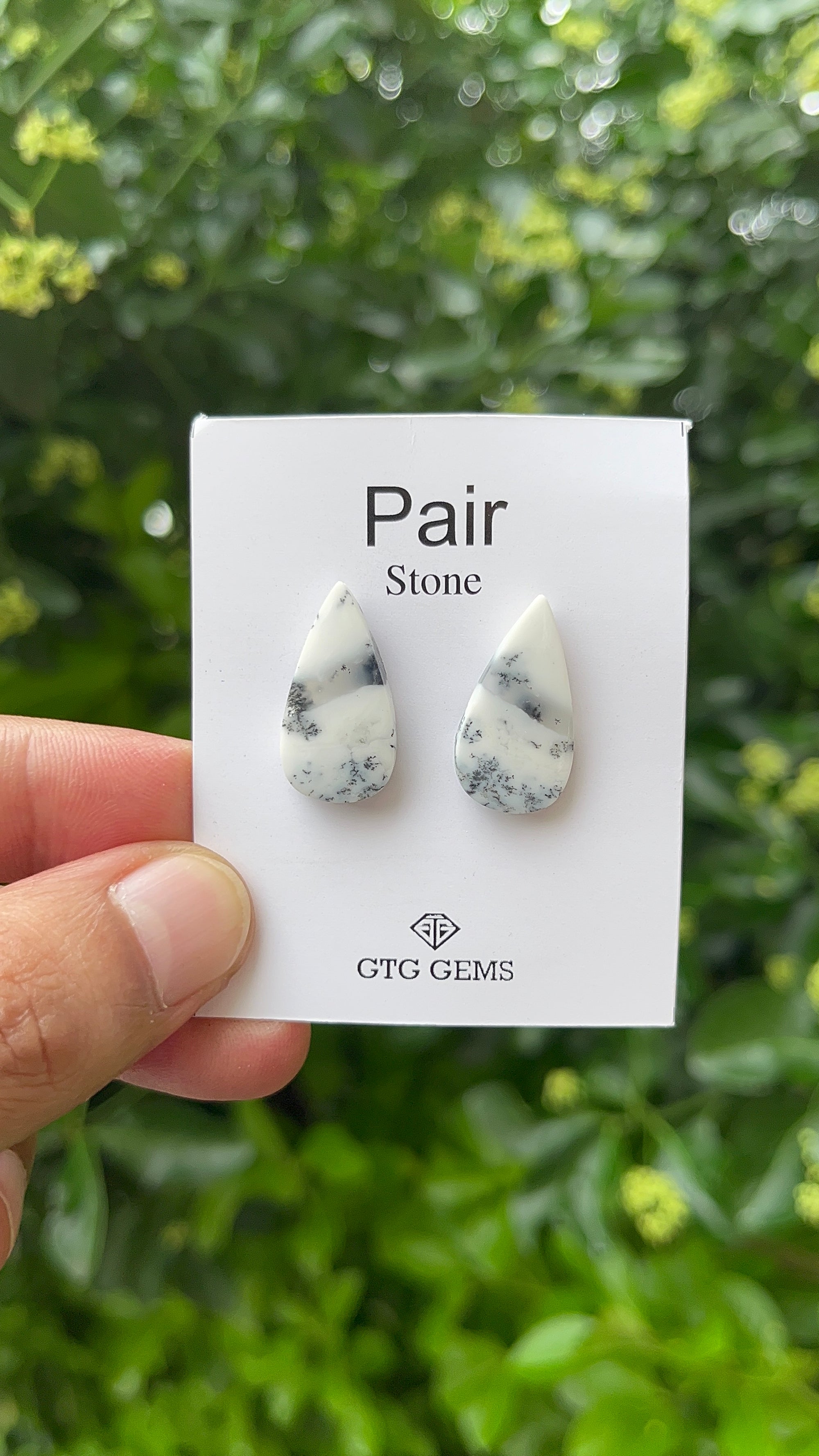 Dendritic Opal, Cabochon Matching Pair 22x12 mm, Approximately 16 carat (GTG-MDO-2)