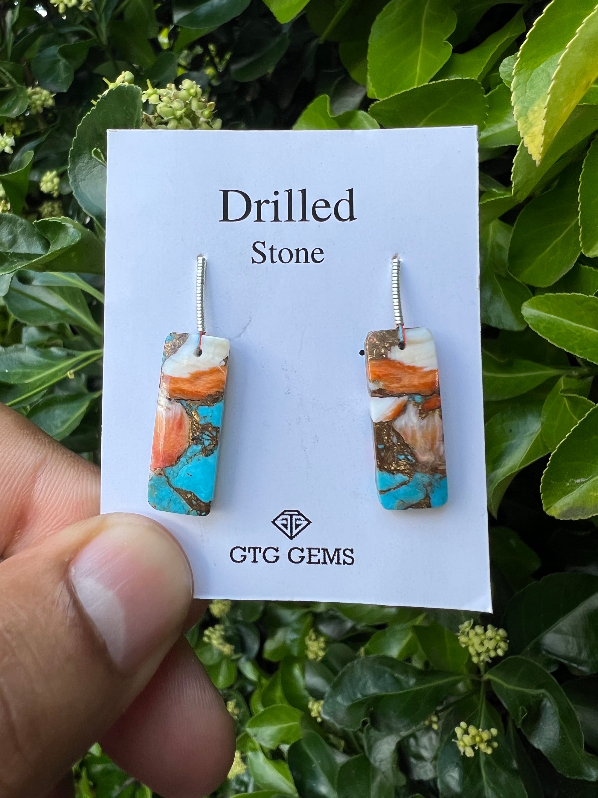 Drilled Oyster Turquoise, Matching pair 23x9 mm Approximately 16.50 Carat (GTG-DOT-14)