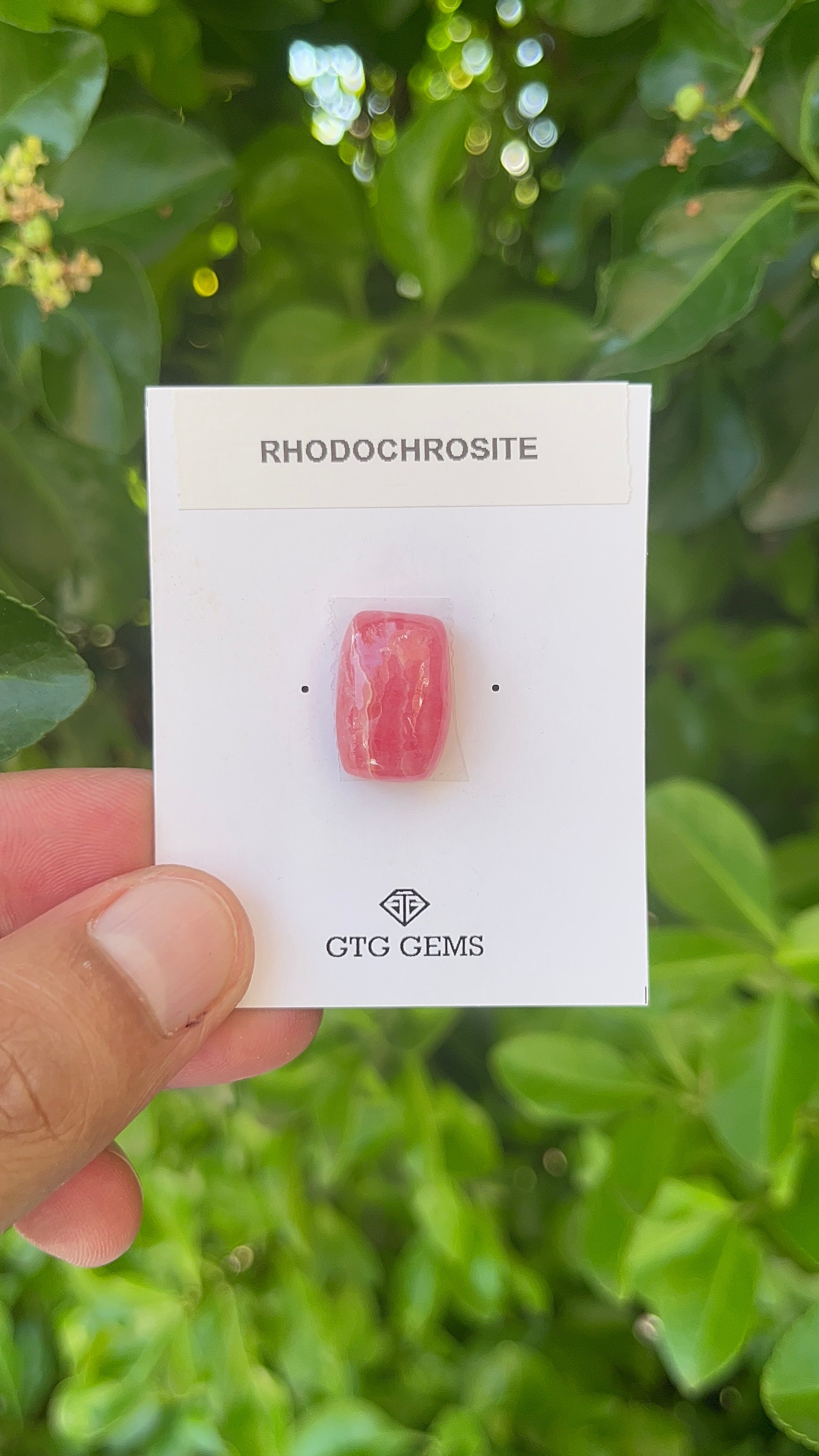 Rhodochrosite Cabochon, Rhodochrosite 17x12 mm, Approximately 18.73 carat (GTG-RCH-60)