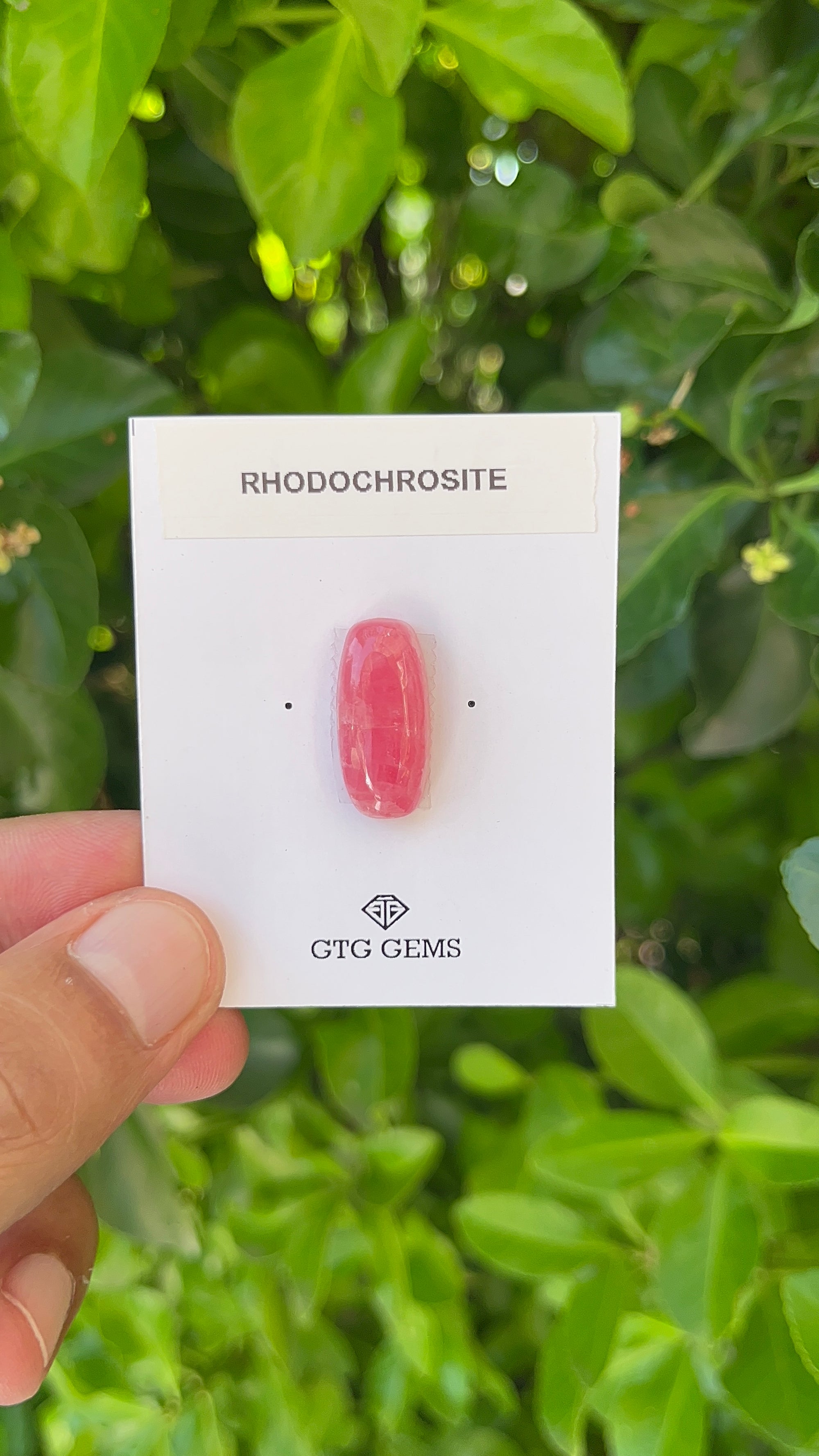 Rhodochrosite  Cabochon, Rhodochrosite 21.5x10 mm, Approximately 16.11 carat (GTG-RCH-39)