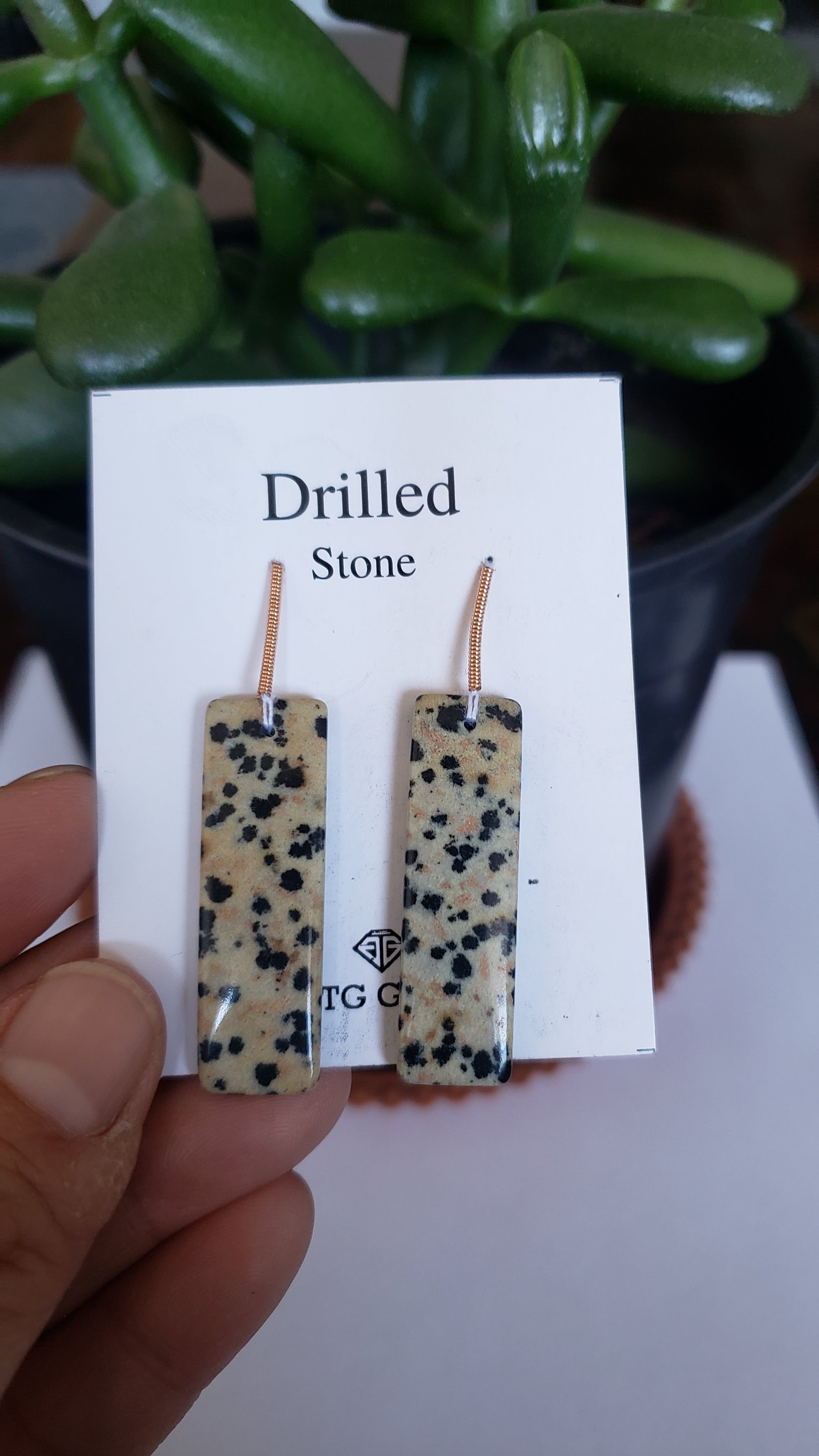 Drilled Dalmatian Jasper  Rectangle Shape 35x10.50mm