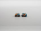 Oyster Copper Turquoise Cabochon Round 10mm Approximately 7.8 Carat (GTG-OT-24)