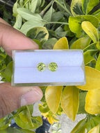 Peridot  Faceted Round Shape 6 mm Matching Pair Approximately 1.60 Carat