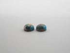 Oyster Copper Turquoise Cabochon Round 9 mm Approximately 6 Carat (GTG-OT-40)