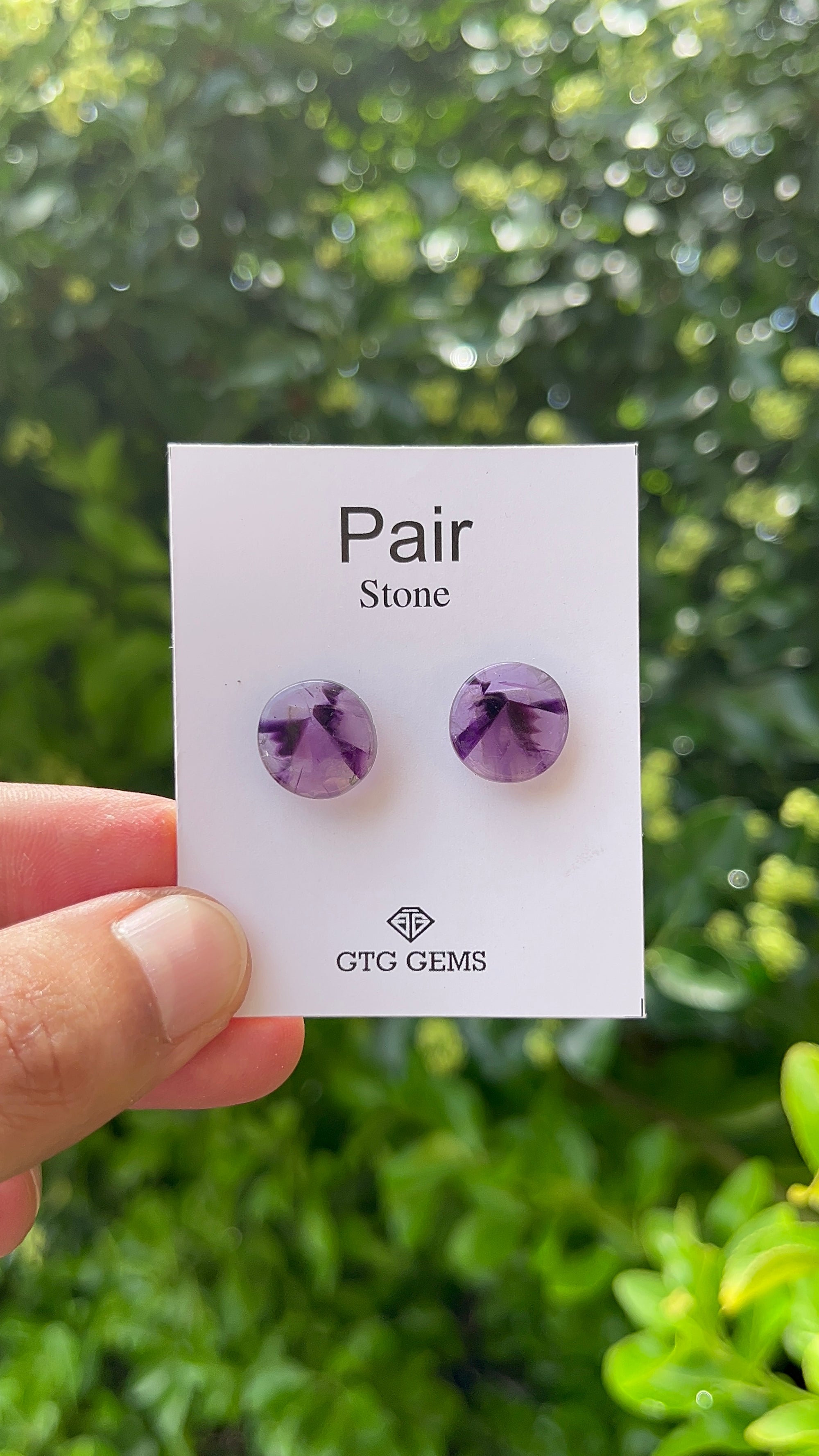 Star Amethyst Matching Pair Cabochon 13 mm, Approximately 11.50 Carat (GTG-AM-9)
