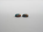 Oyster Copper Turquoise Cabochon Oval 10x8 mm Approximately 5.80 Carat (GTG-OT-33)