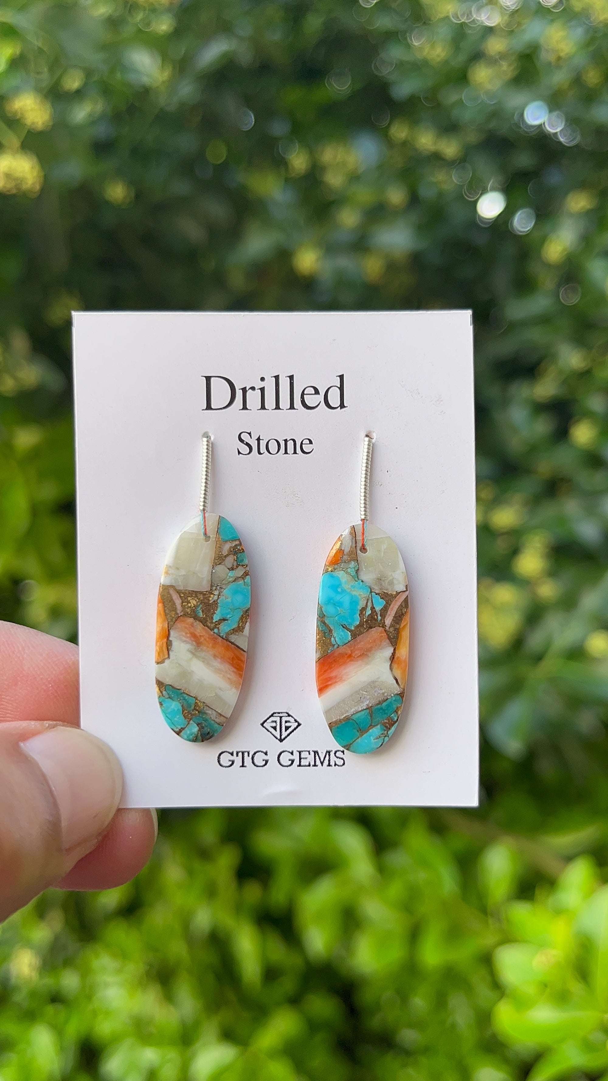 Drilled Oyster Turquoise, Matching pair 29x12 mm Approximately 22.50 Carat (GTG-DOT-28)