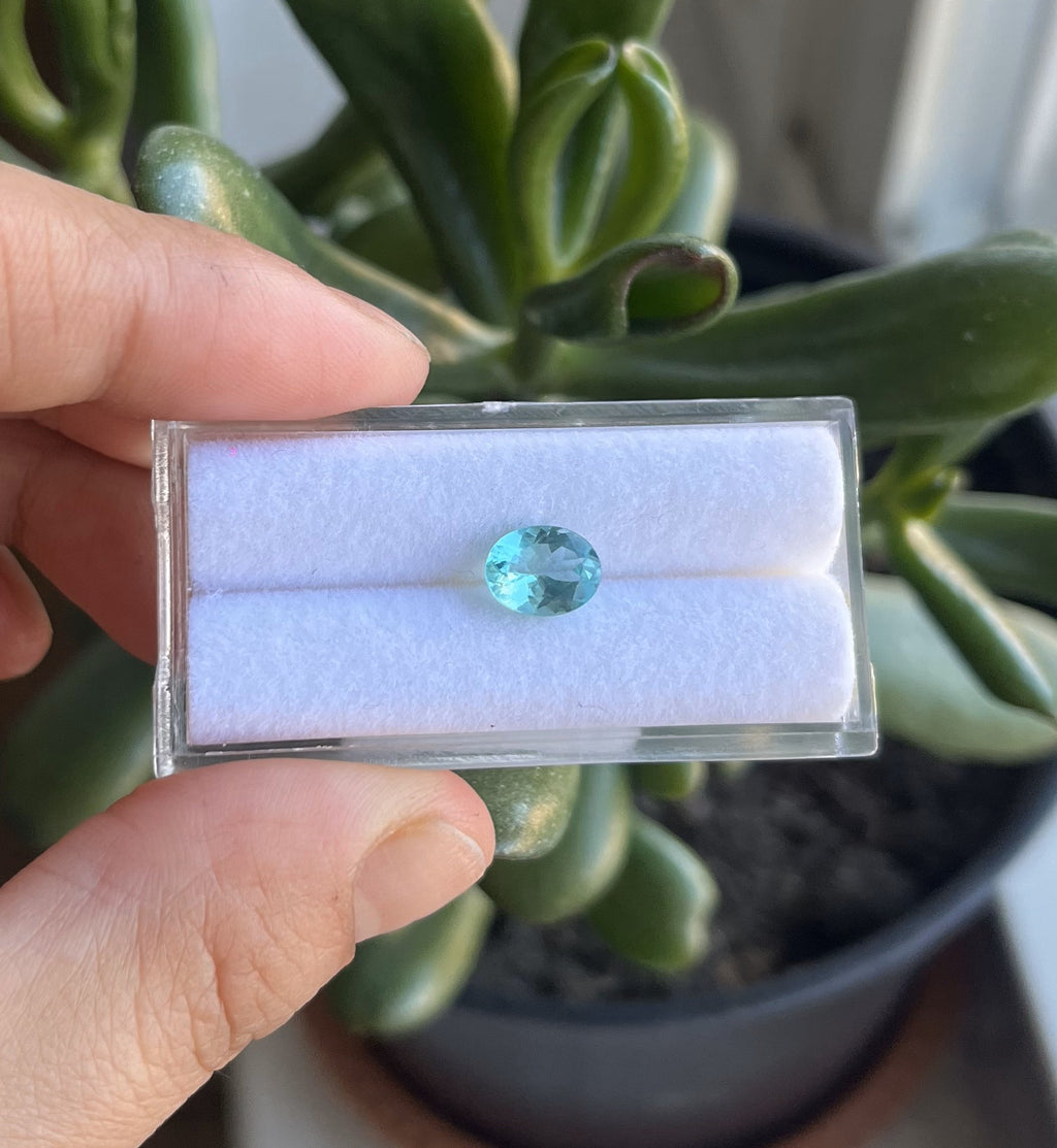 Faceted Blue Apatite Oval Shape 8x6x3.8mm Approximately 1.2 Carat