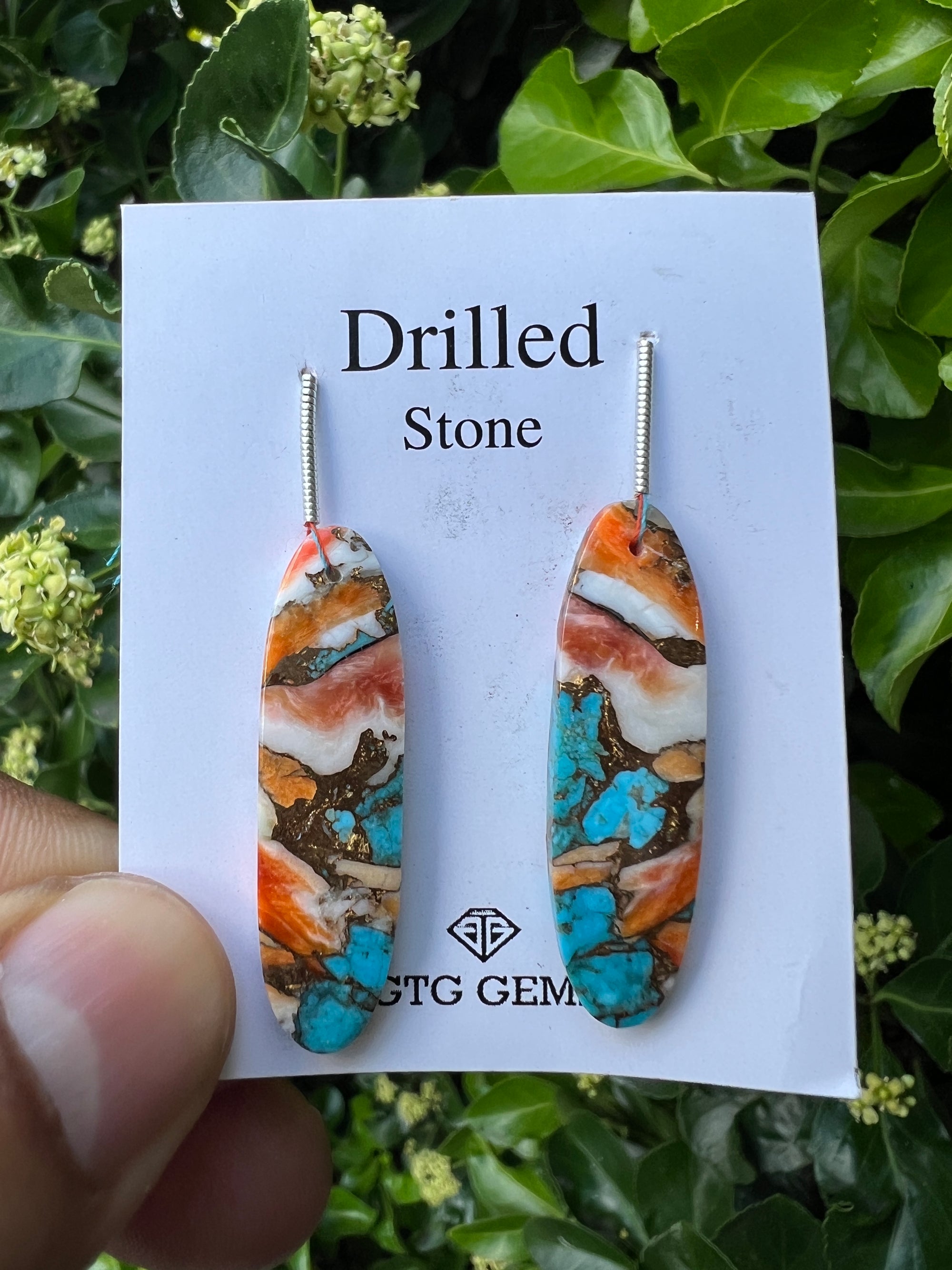 Drilled Oyster Turquoise 37x10 mm Approximately 29.50 Carat (GTG-DOT-11)