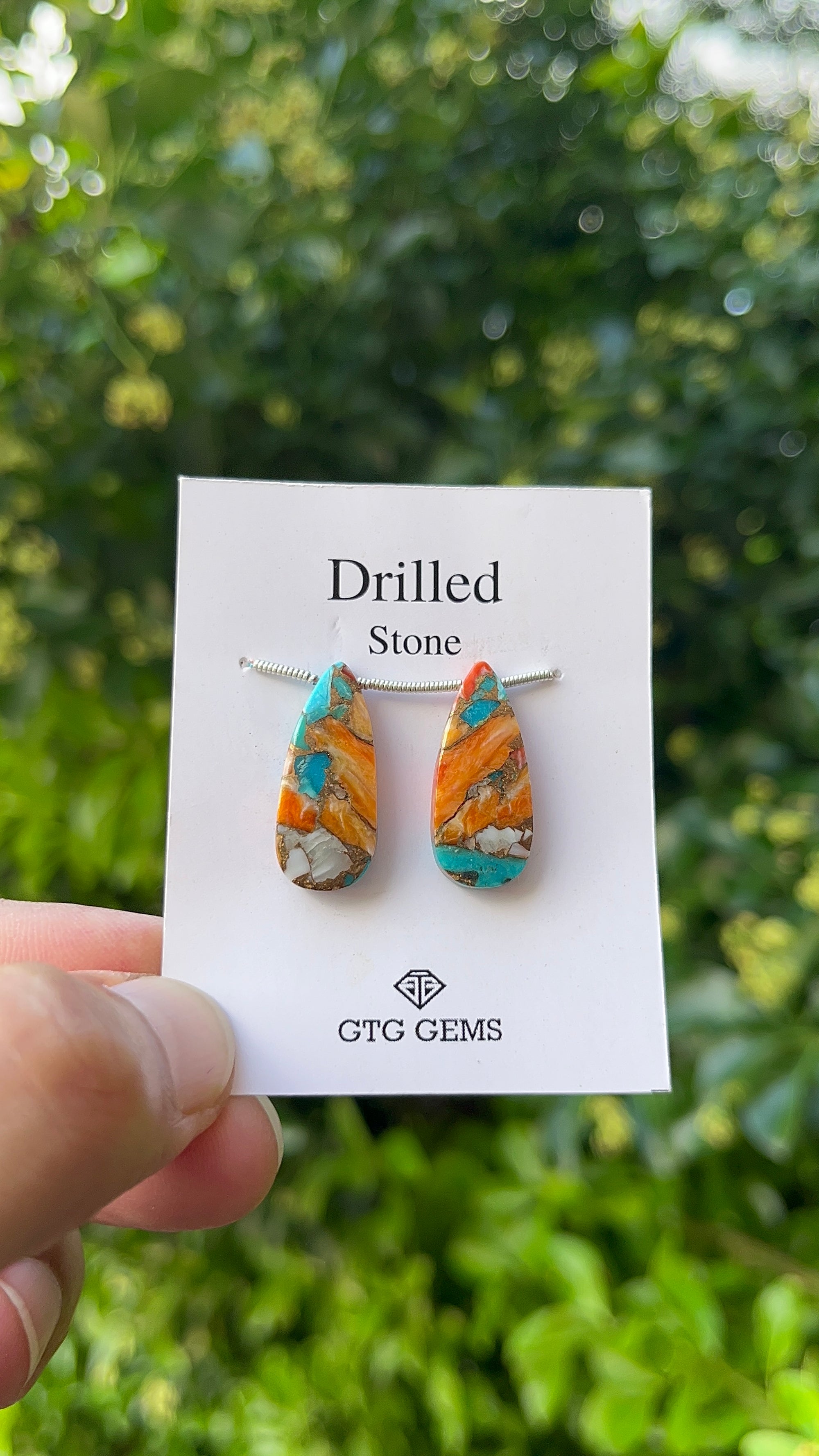 Drilled Oyster Turquoise, Matching pair 24x10 mm Approximately 18.50 Carat (GTG-DOT-27)