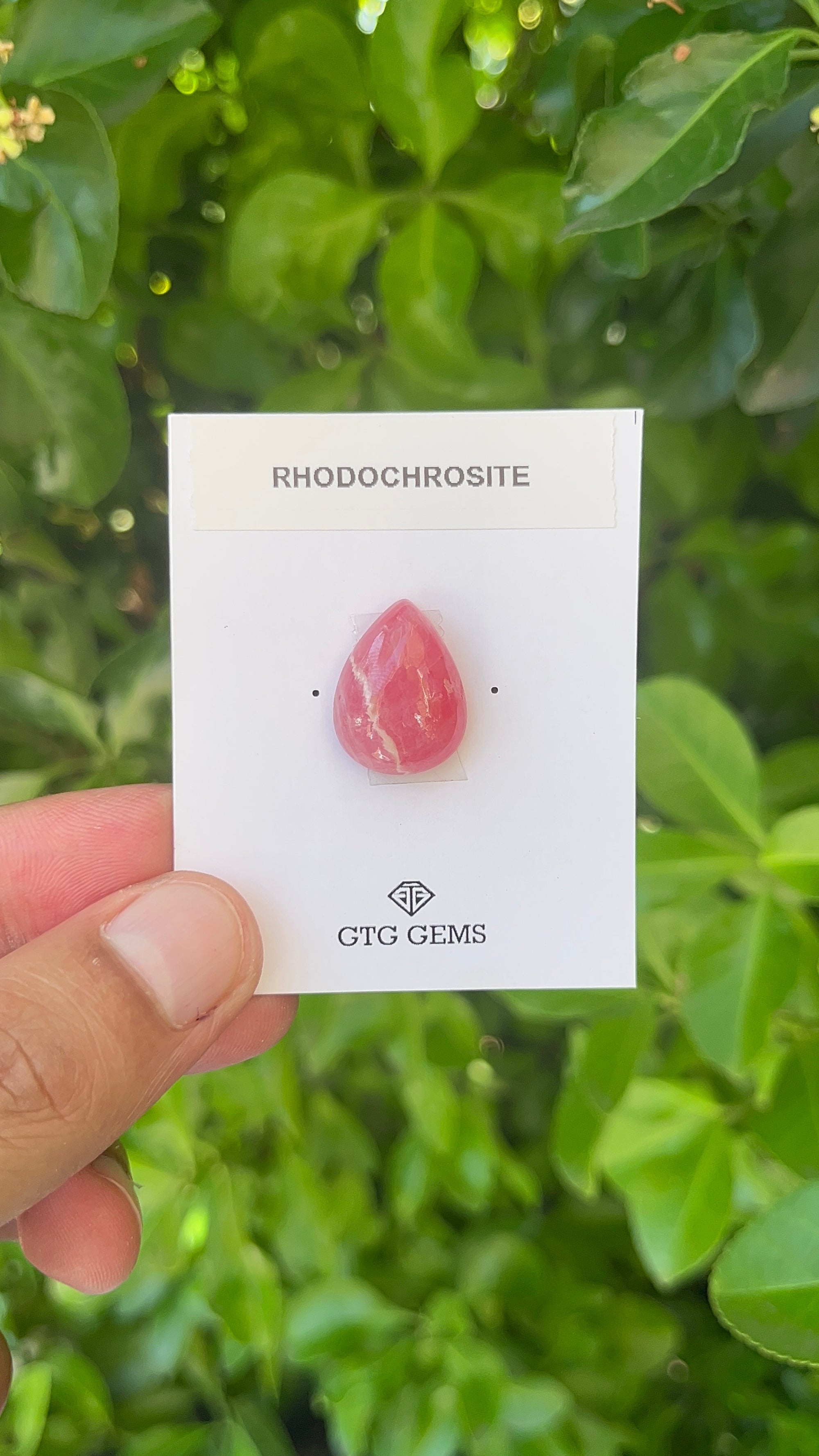 Rhodochrosite Cabochon, Rhodochrosite 19x15 mm, Approximately 18.04 carat (GTG-RCH-63)
