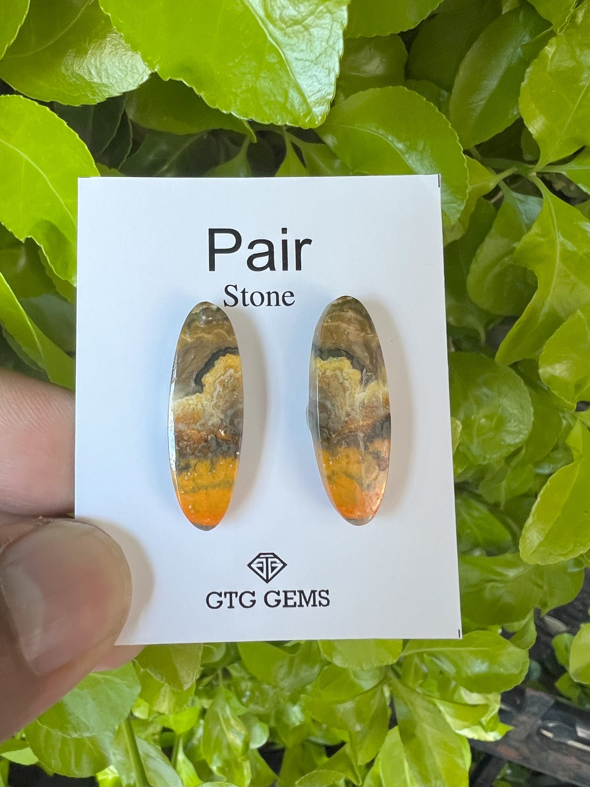 Oval Shape Jasper Cabochon, Matching Pair Jasper Cabs 30x10mm