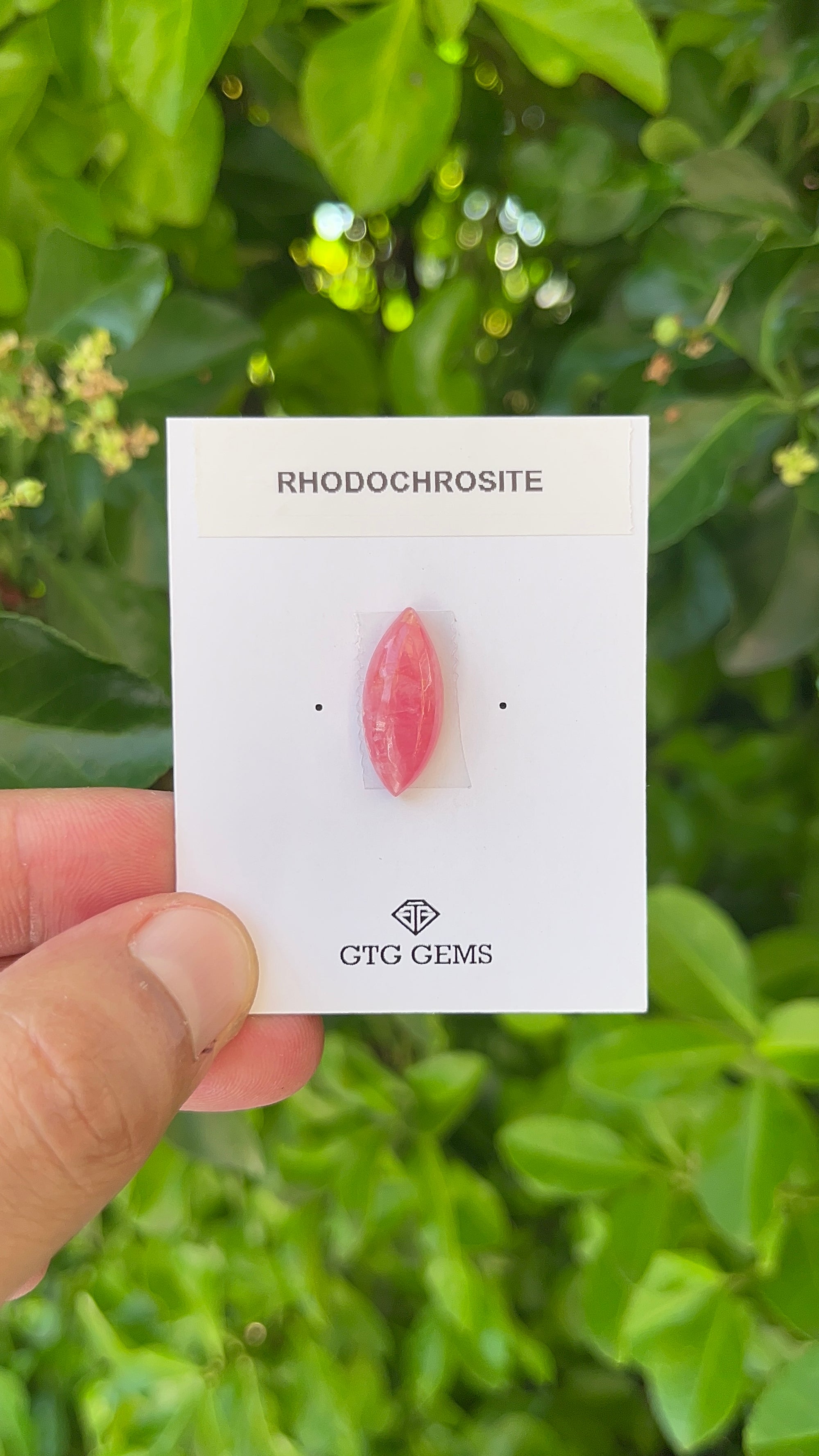 Rhodochrosite Cabochon, Rhodochrosite 20x9 mm, Approximately 8.48 carat (GTG-RCH-40)