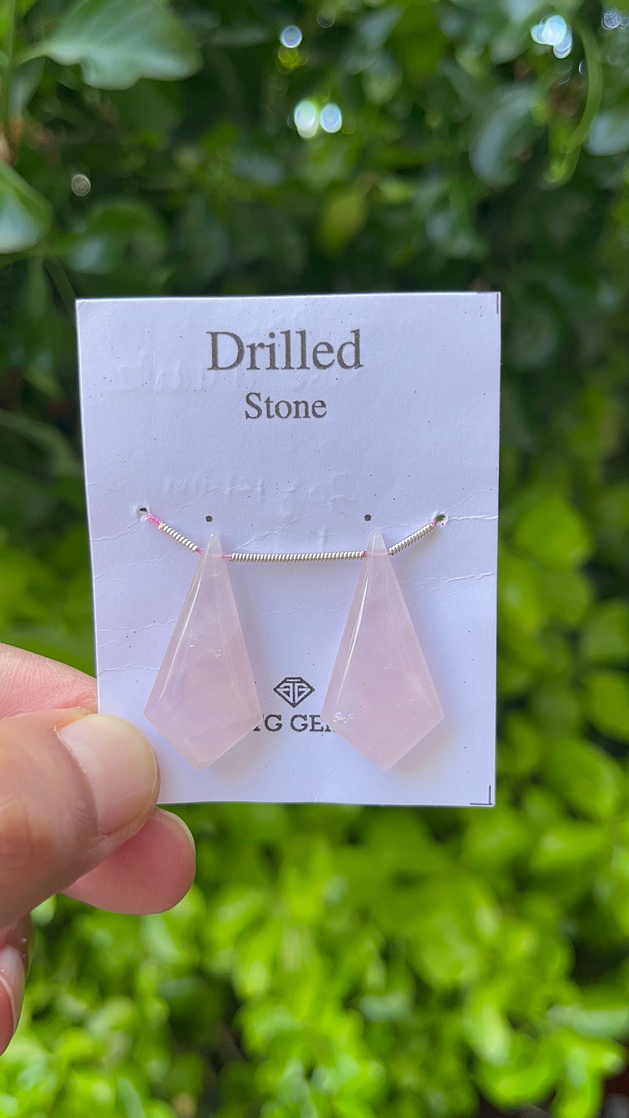 Drilled Rose Quartz Matching Pair 30x 14mm Approximately 25 Carat