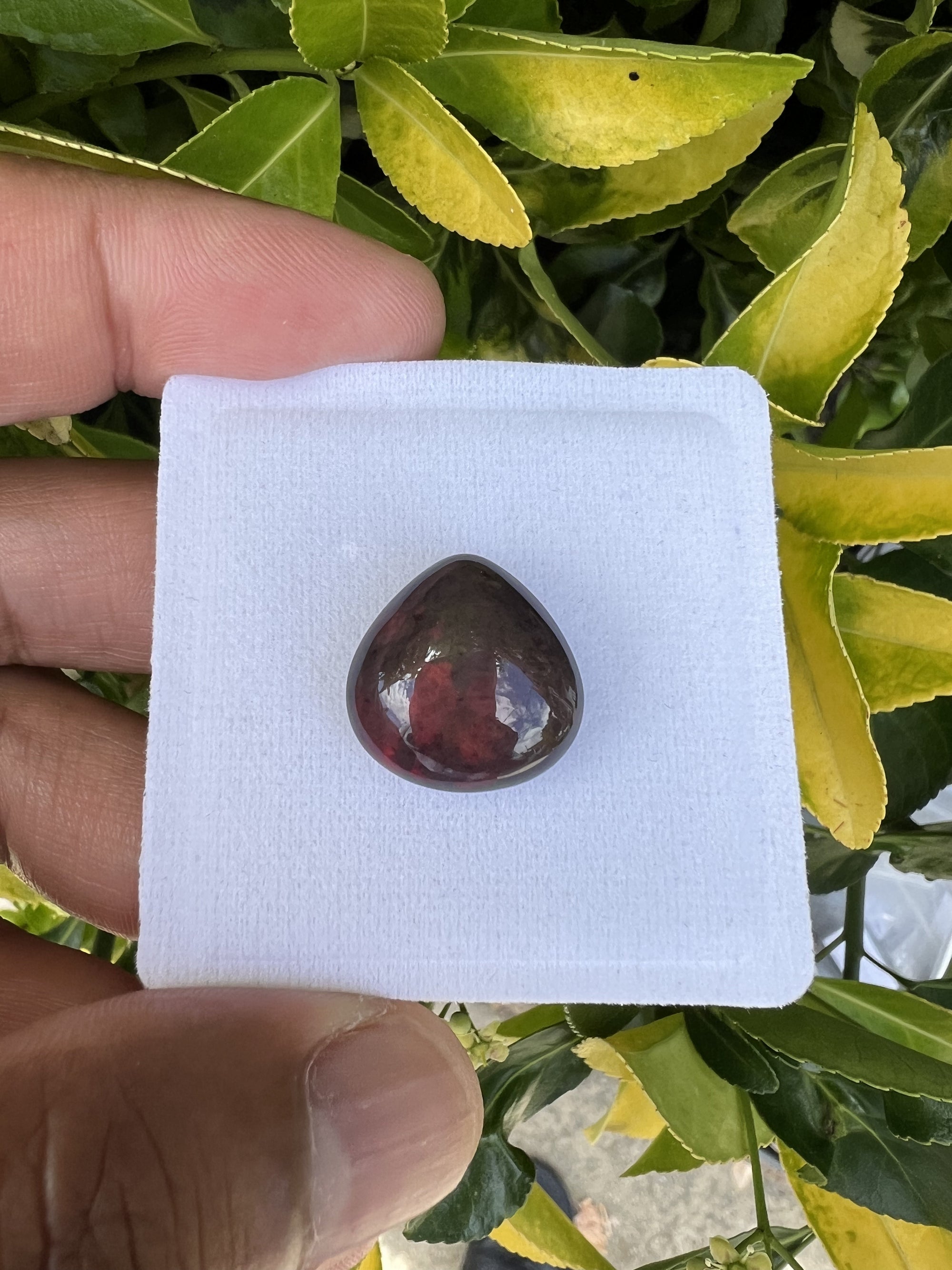 Ethiopian Black Opal 17.6x17.5x8.2mm Approximately 10.65 Carat
