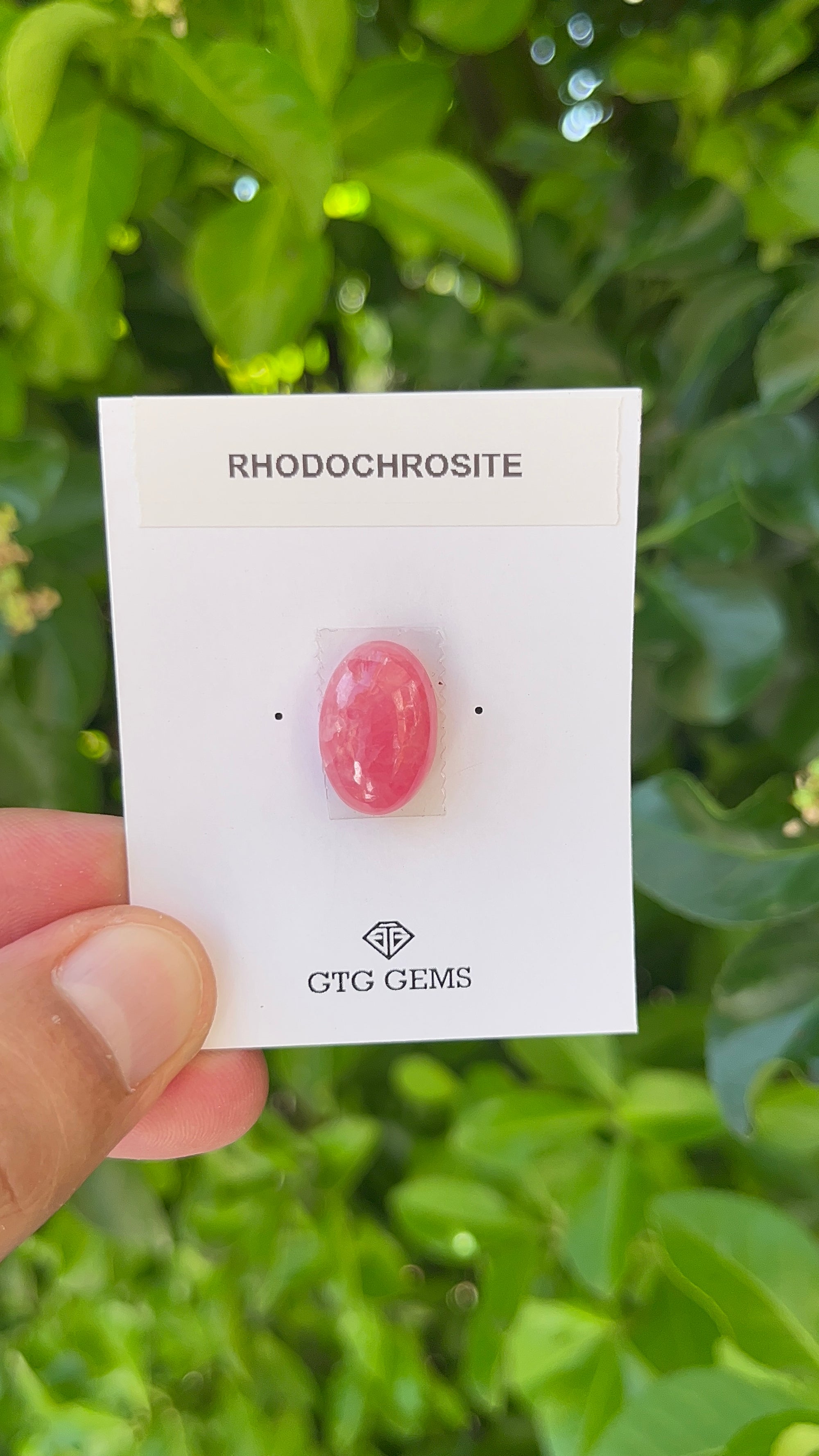 Rhodochrosite Cabochon, Rhodochrosite 17x11 mm, Approximately 15.32 carat (GTG-RCH-25)