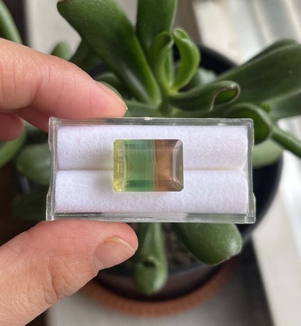 Fluorite Faceted Rectangle Shape 15.5x12 mm Single Piece  Approximately 17.18 Carat