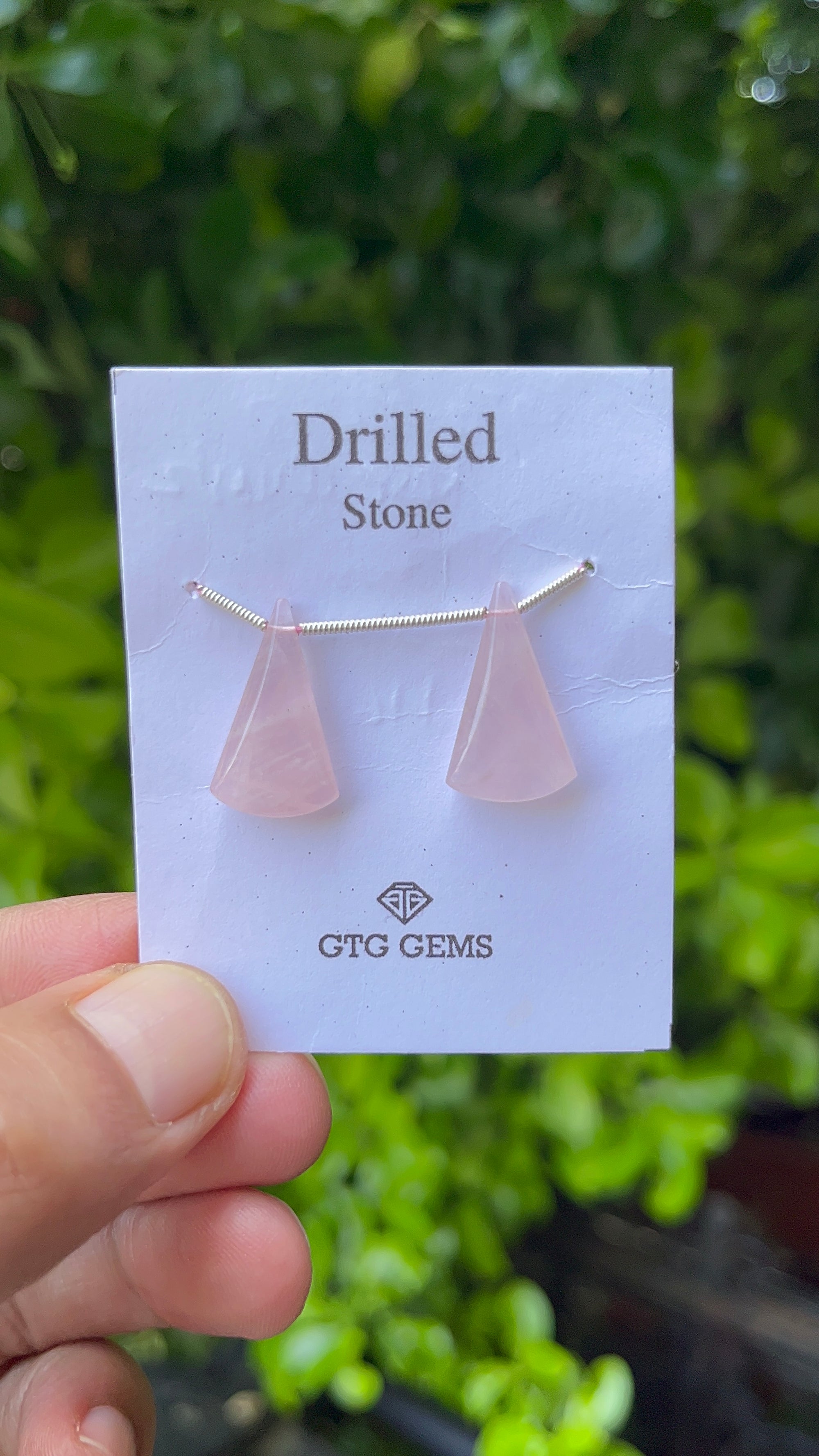 Drilled Rose Quartz Matching Pair 20x 12mm Approximately 12 Carat