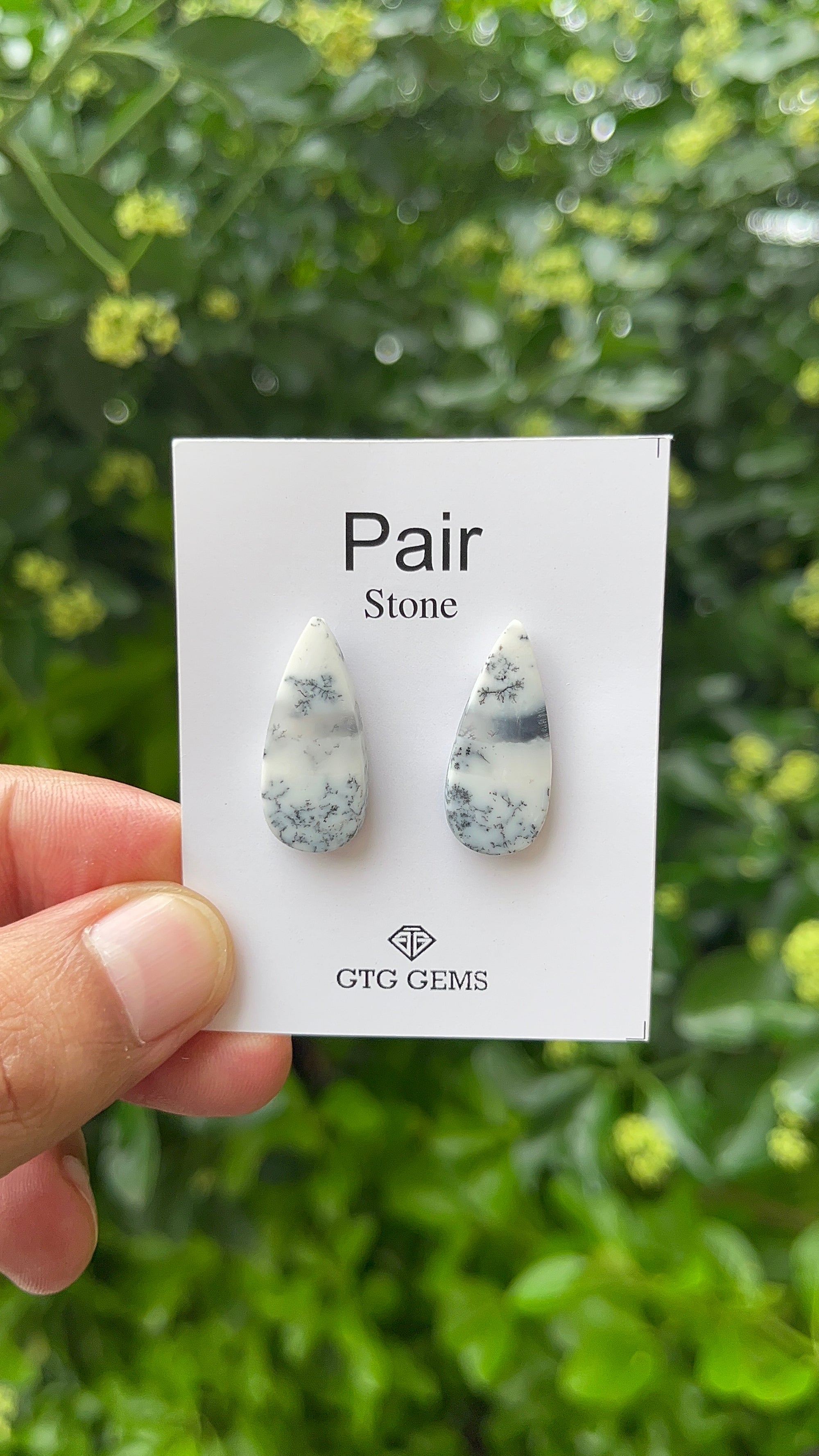 Dendritic Opal, Cabochon Matching Pair 25x11 mm, Approximately 17.50 carat (GTG-MDO-9)