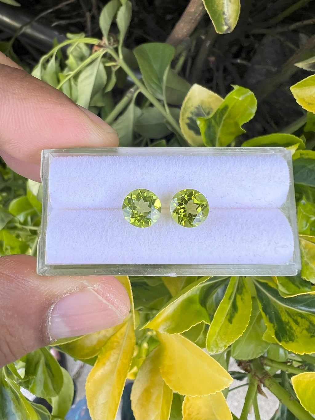 Peridot  Faceted Round Shape 7 mm Matching Pair Approximately 2.80 Carat