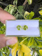 Peridot  Faceted Round Shape 7 mm Matching Pair Approximately 2.80 Carat