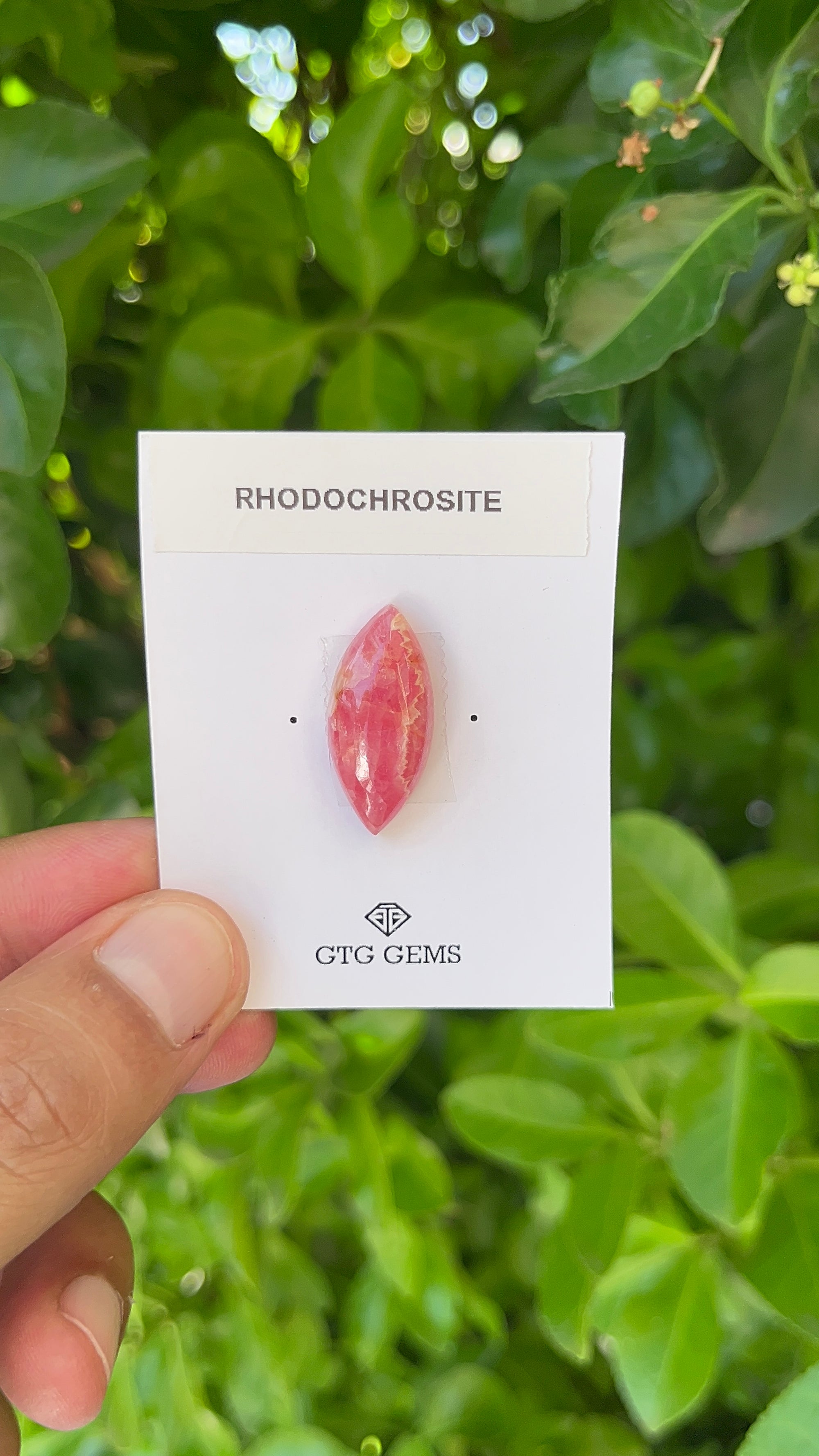 Rhodochrosite Cabochon, Rhodochrosite 25x12 mm, Approximately 19.80 carat (GTG-RCH-49)
