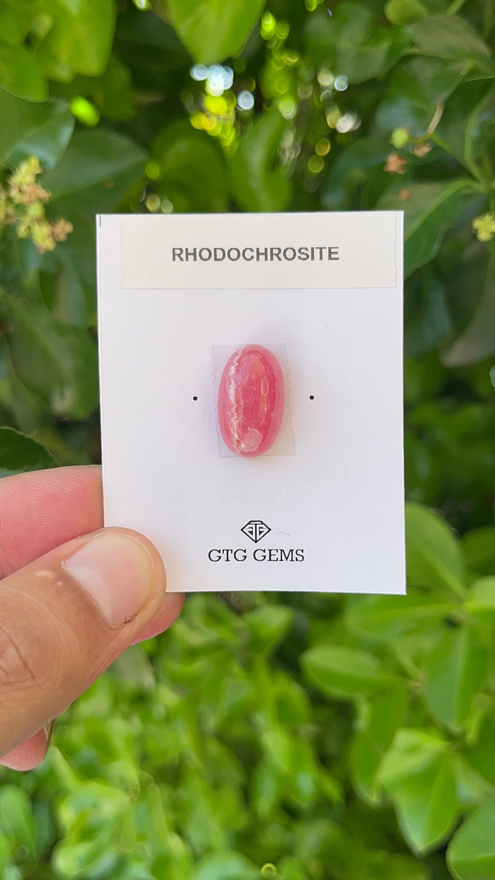 Rhodochrosite Cabochon, Rhodochrosite 19x11 mm, Approximately 17.54 carat (GTG-RCH-38)