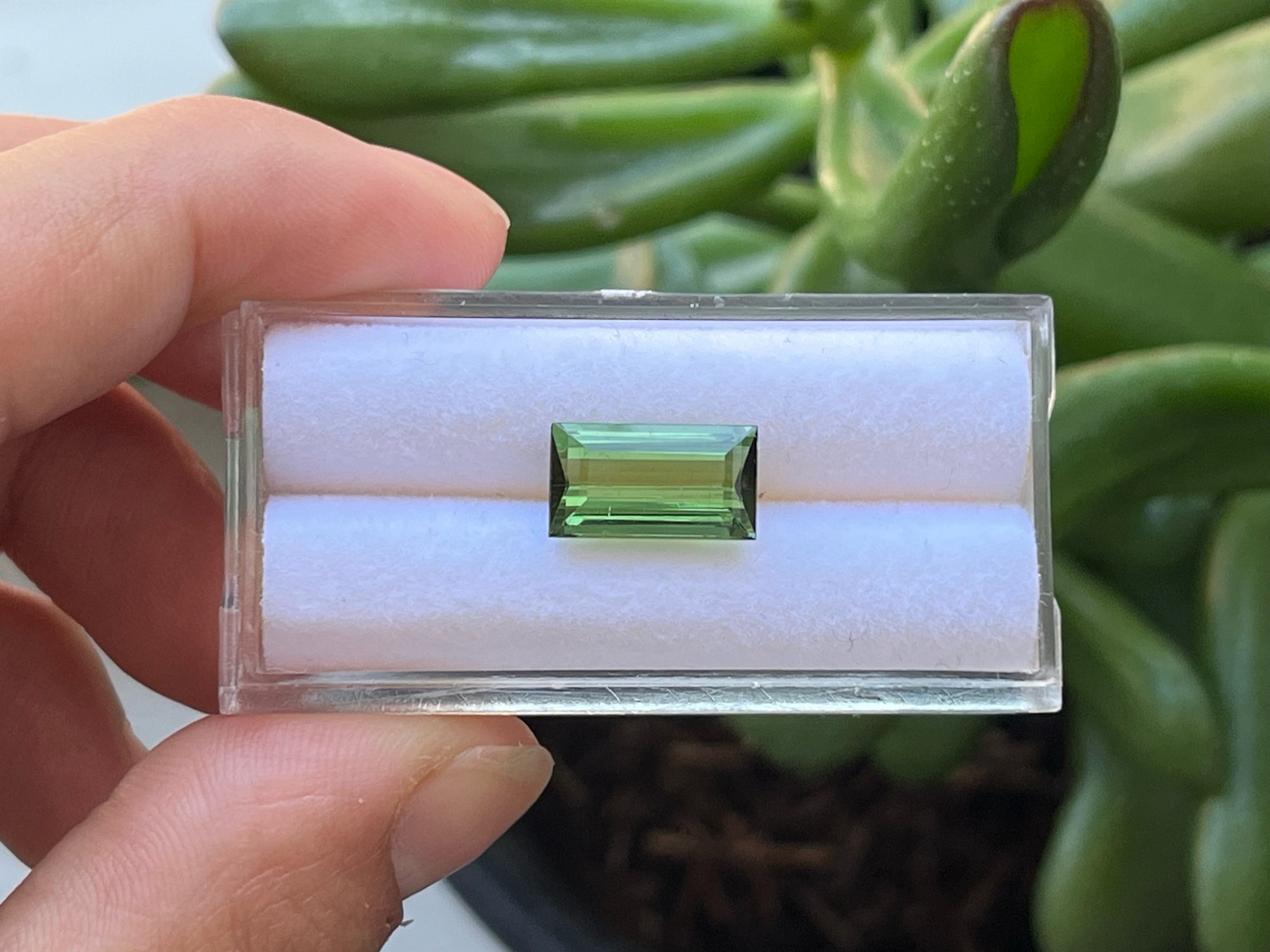 Rectangle Tourmaline 12.1x6.8x4.5mm Single Piece Approximately 3.27 Carat
