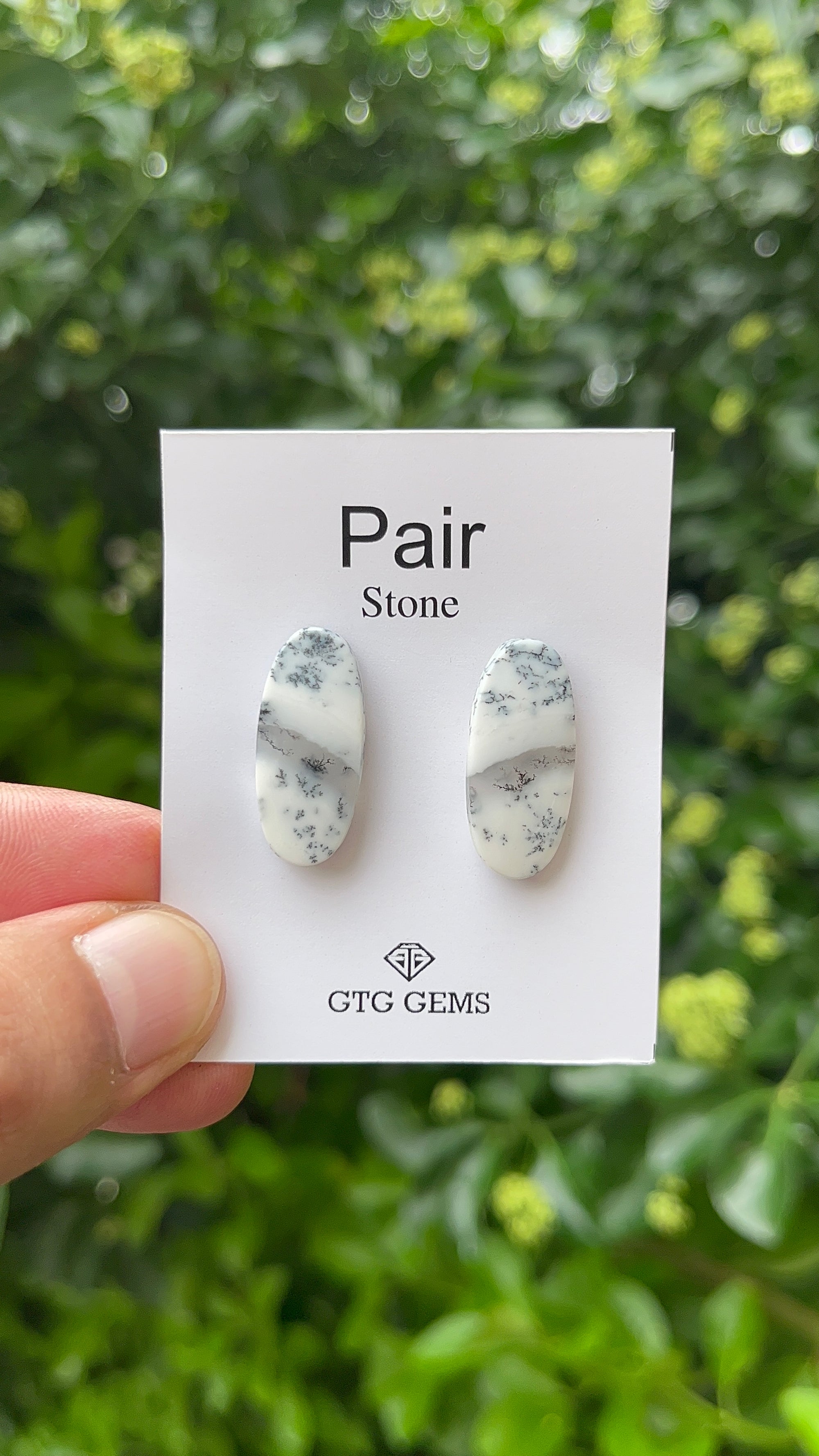 Dendritic Opal, Cabochon Matching Pair 19x11 mm, Approximately 18 carat (GTG-MDO-10)