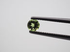 Peridot Round Shape 5 mm Matching Pair Approximately 0.92 Carat