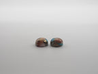 Oyster Copper Turquoise Cabochon Round 9 mm Approximately 6 Carat (GTG-OT-44)