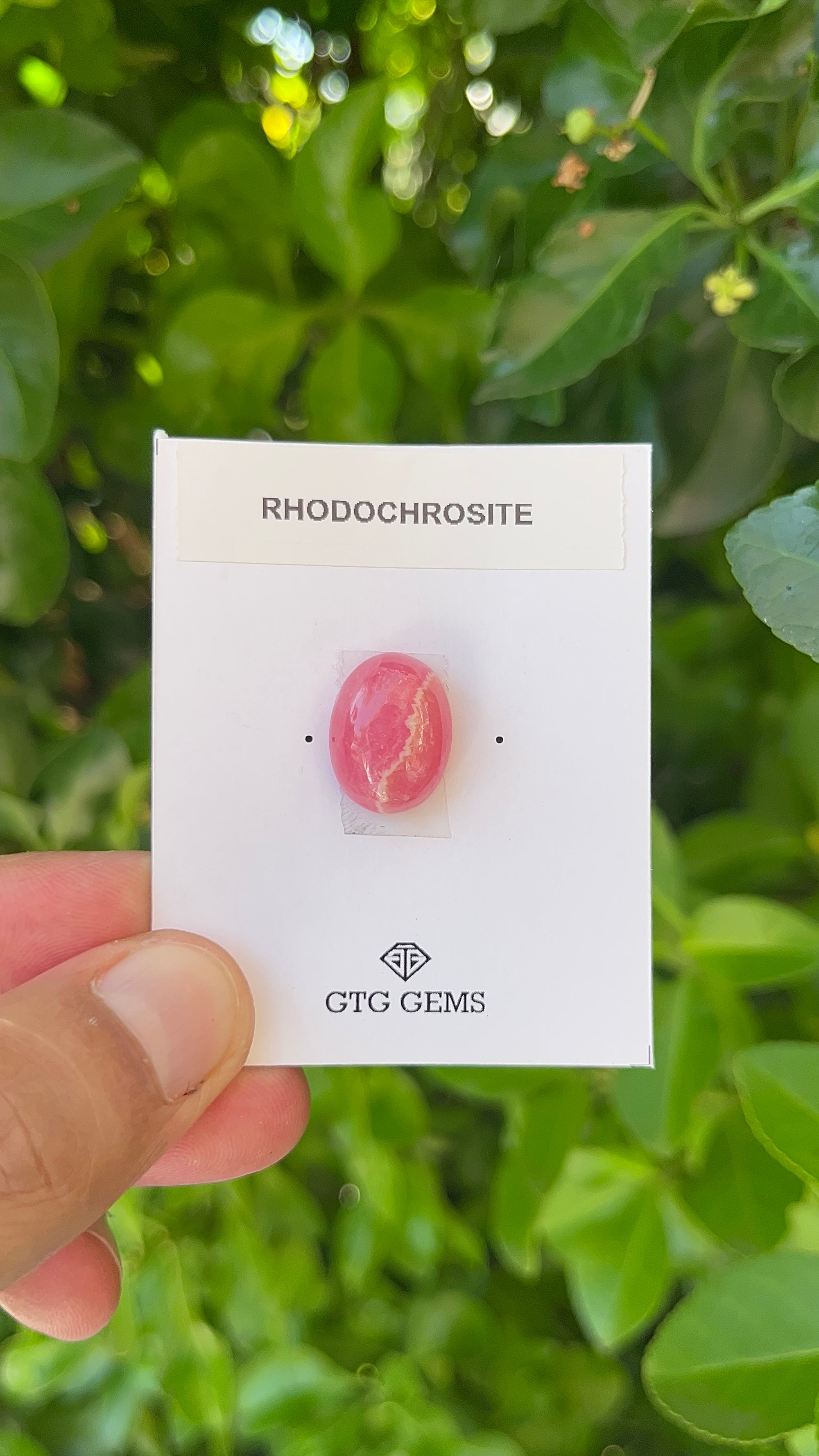 Rhodochrosite Cabochon, Rhodochrosite 16.5x12.5mm, Approximately 15.65 carat (GTG-RCH-35)
