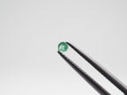 Zambian Emerald Round Shape 2.5mm  Approximately 0.30 Carat