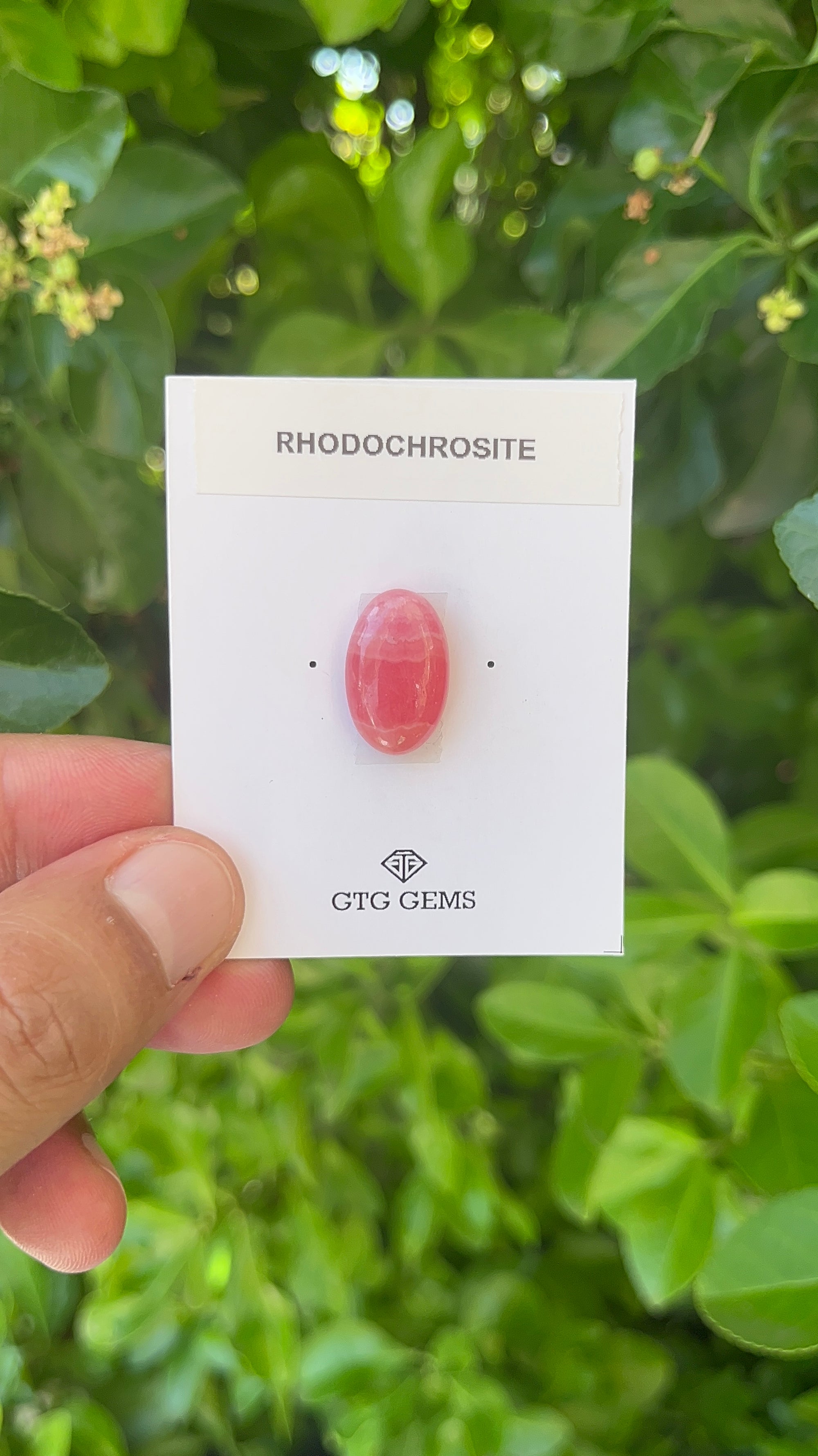 Rhodochrosite Cabochon, Rhodochrosite 18x11.5 mm, Approximately 12.77 carat (GTG-RCH-59)
