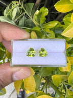 Peridot  Faceted Triangle Shape 8x8 mm Matching Pair Approximately 4.50 Carat