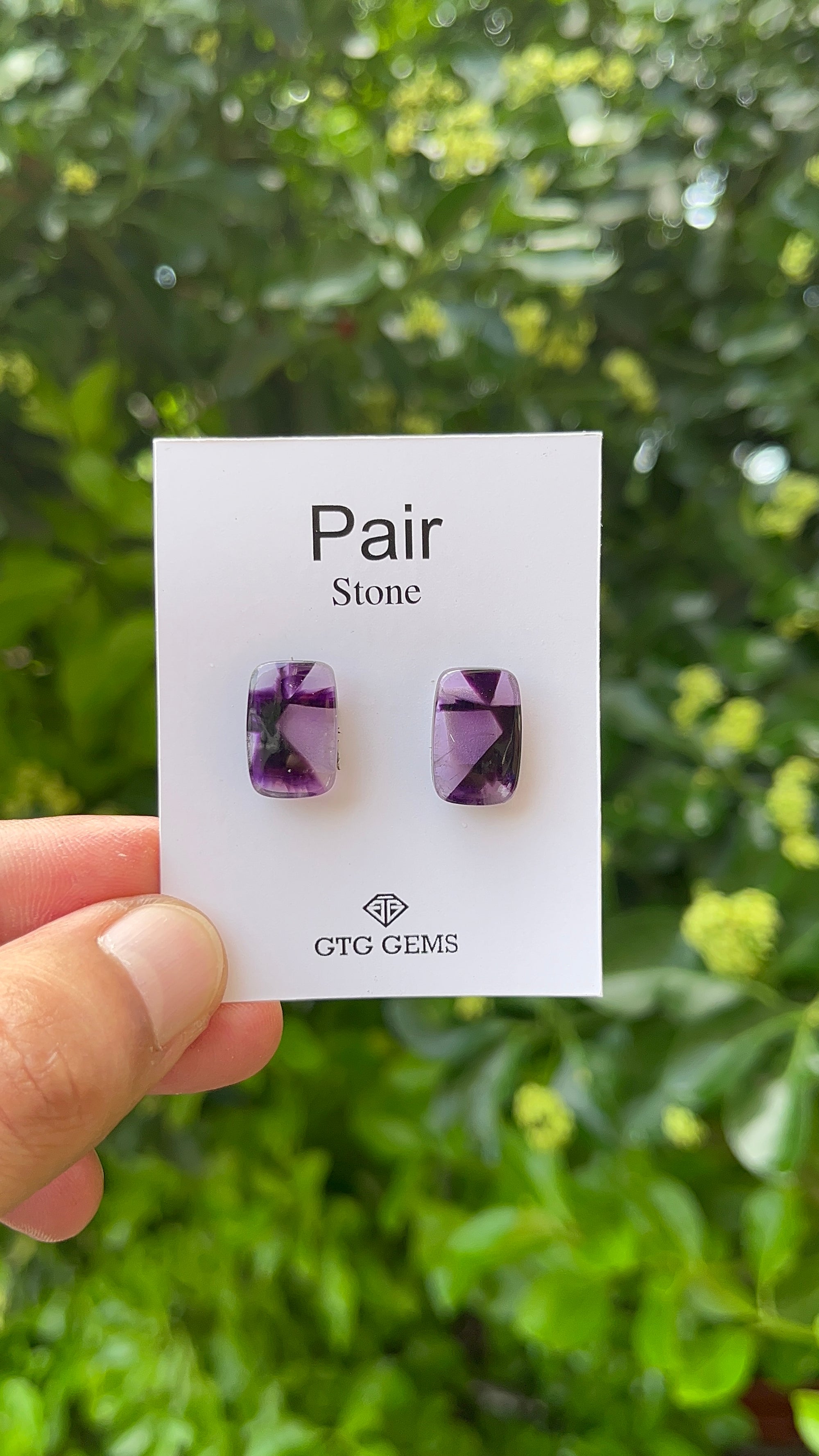 Star Amethyst Matching Pair Cabochon 15 x 10 mm, Approximately 12.50 Carat (GTG-AM-11)