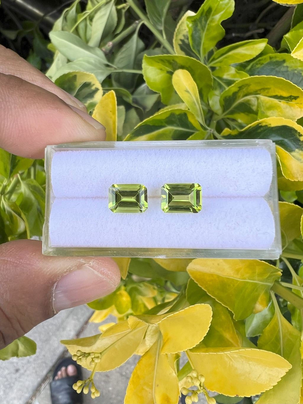 Peridot  Faceted Rectangle Shape 8x6 mm Matching Pair Approximately 2.80 Carat