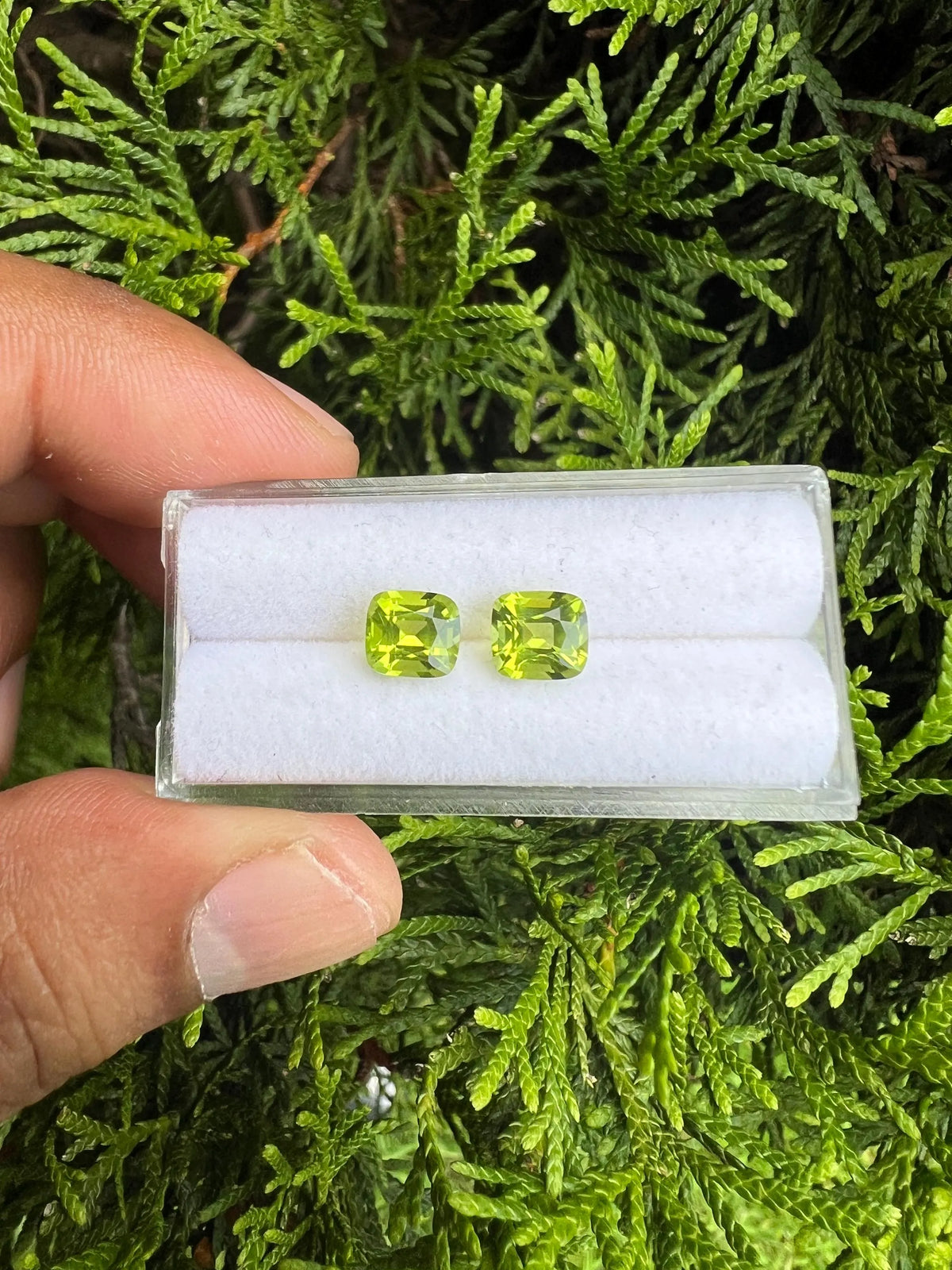 Peridot Faceted Cushion Square shape 6.2x5.8x4.5mm Matching Pair Approximately 2.90 Carat