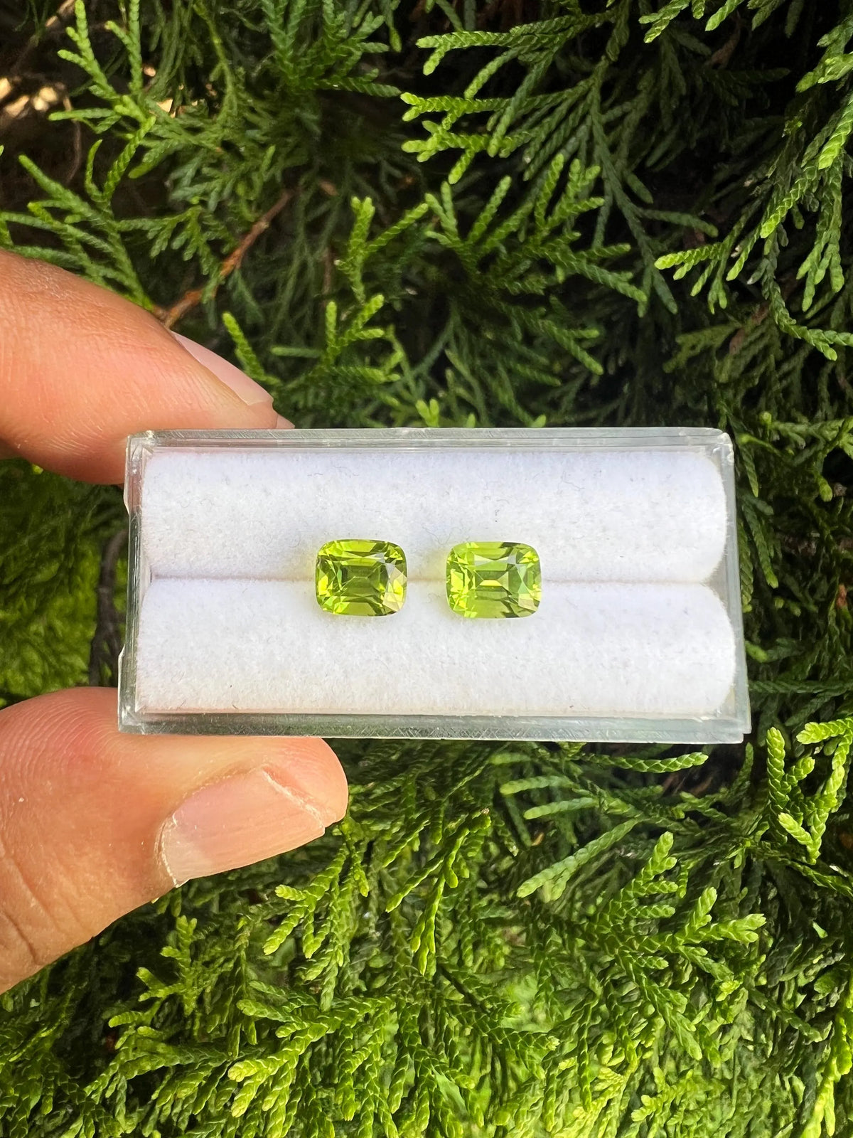 Peridot Faceted Cushion Square shape 6.8x5.7x4.9mm Approximately 3.15 Carat , 2 pcs